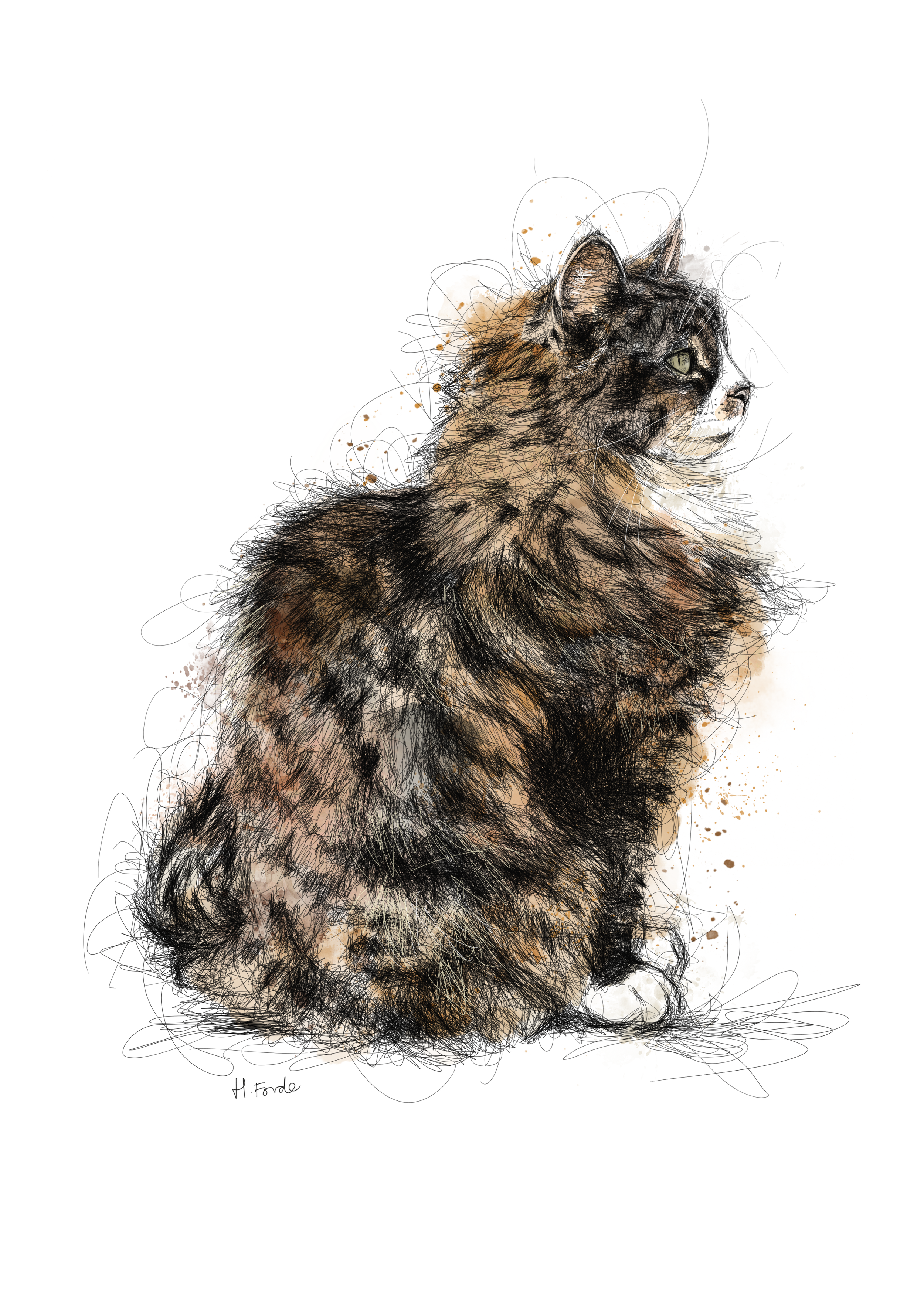 Digital sketch of a fluffy, long-haired cat with tabby markings, sitting and looking to the right.