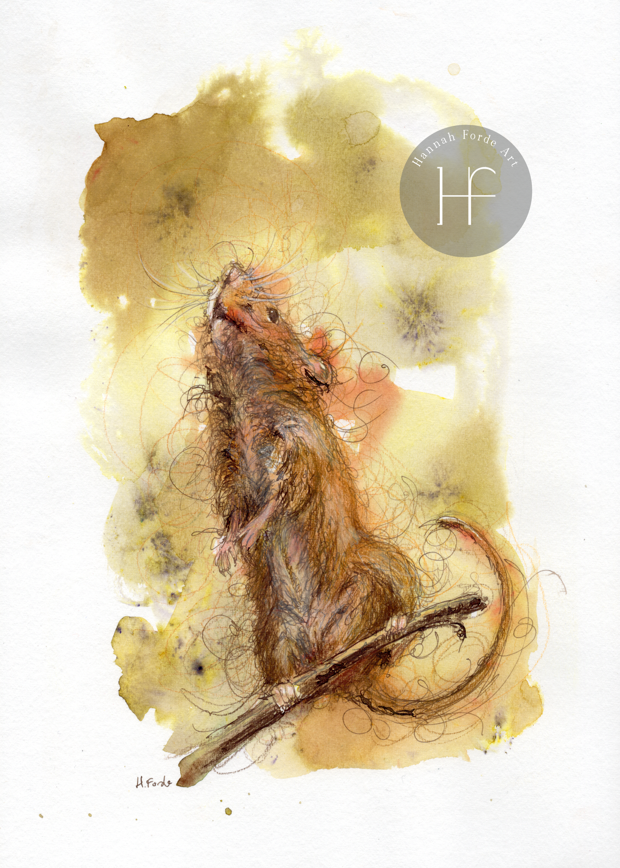 Brown Mouse.png