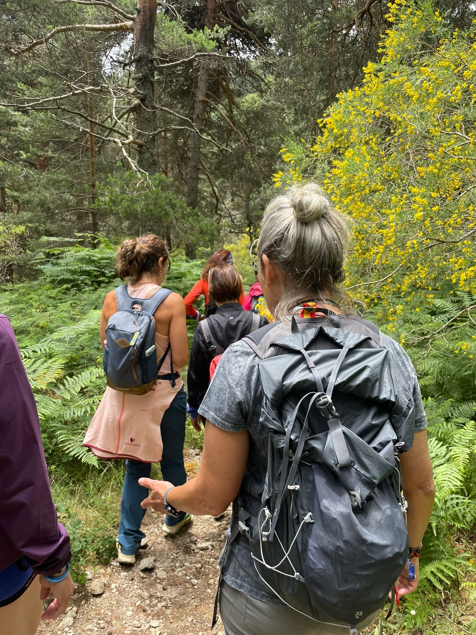 WhatsApp Image 2024-06-30 at 09.49.16.jpeg