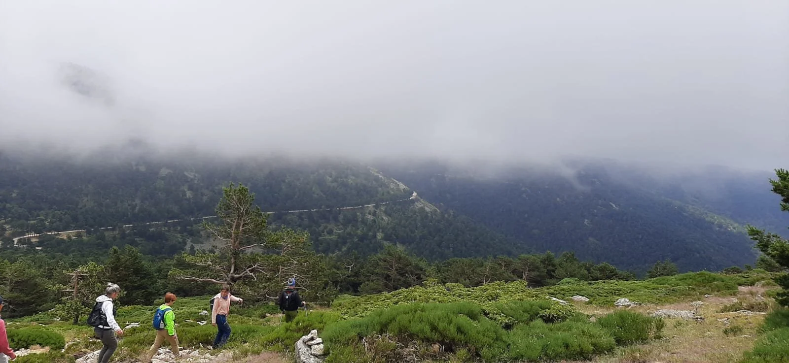 WhatsApp Image 2024-06-30 at 09.40.05.jpeg