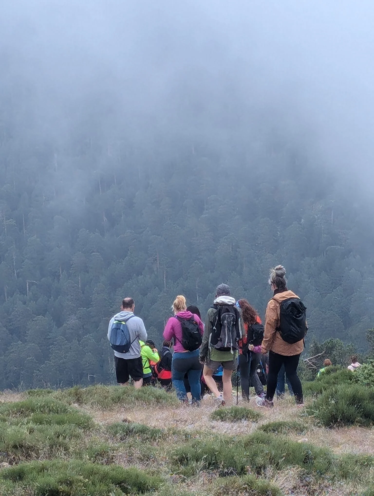 WhatsApp Image 2024-06-30 at 10.38.51.jpeg