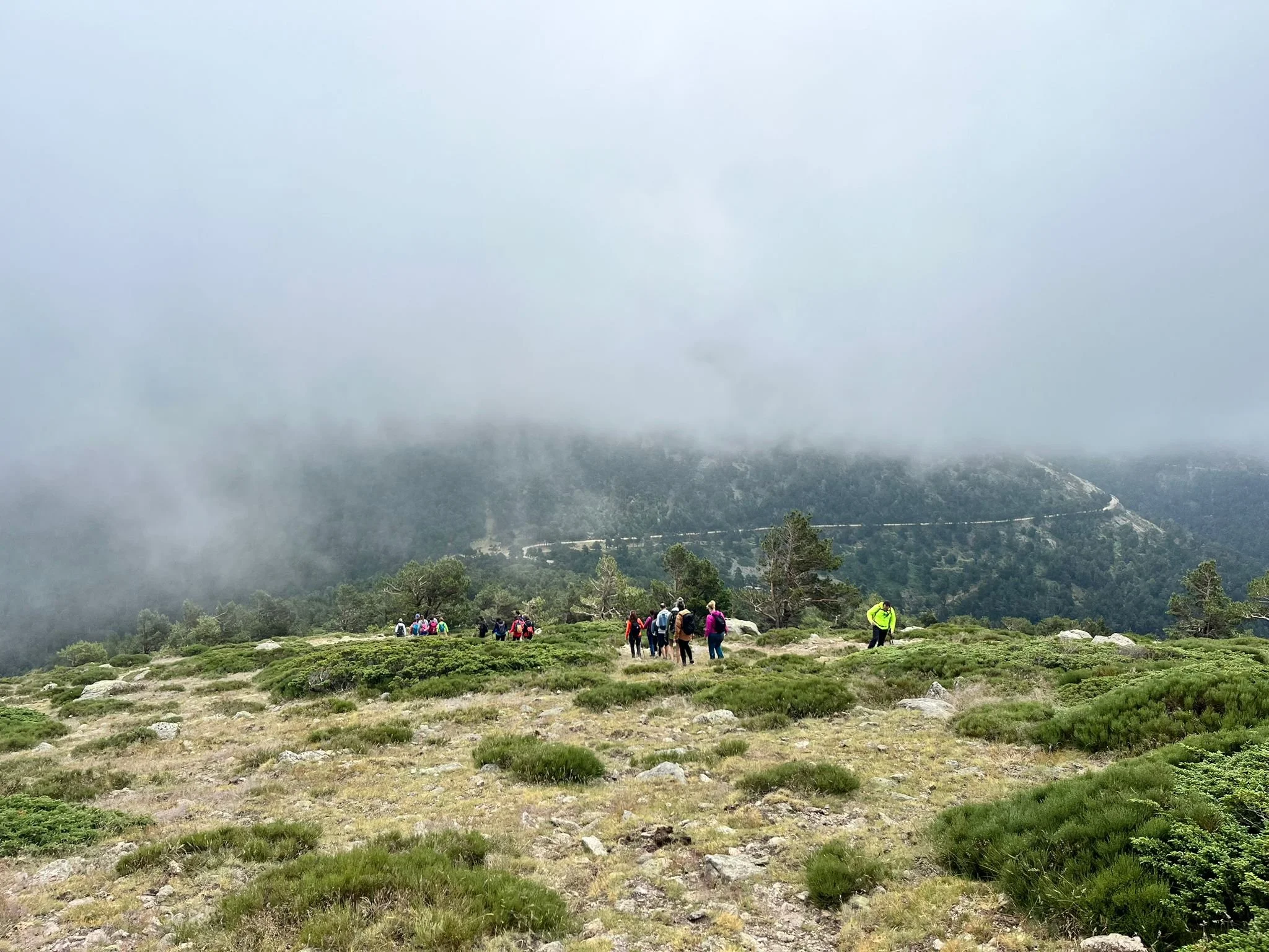 WhatsApp Image 2024-06-30 at 11.15.37.jpeg