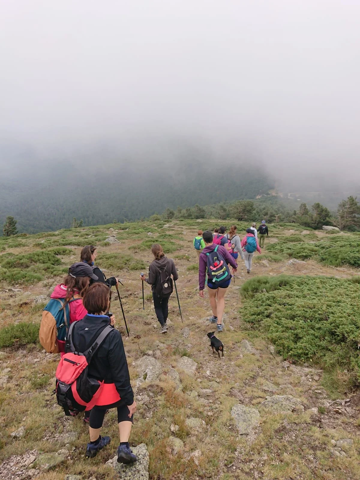 WhatsApp Image 2024-06-30 at 11.32.47.jpeg