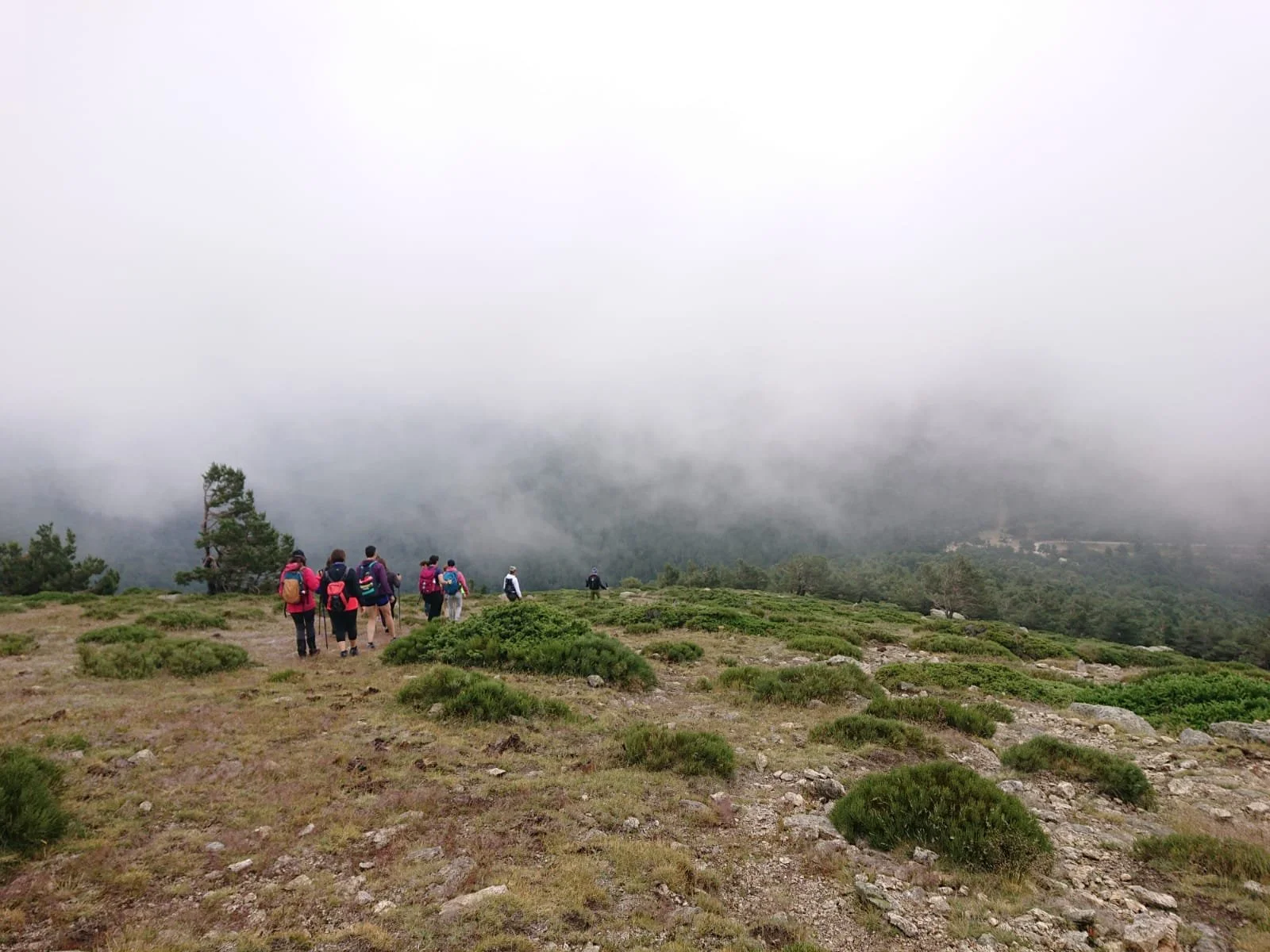 WhatsApp Image 2024-06-30 at 11.32.53.jpeg