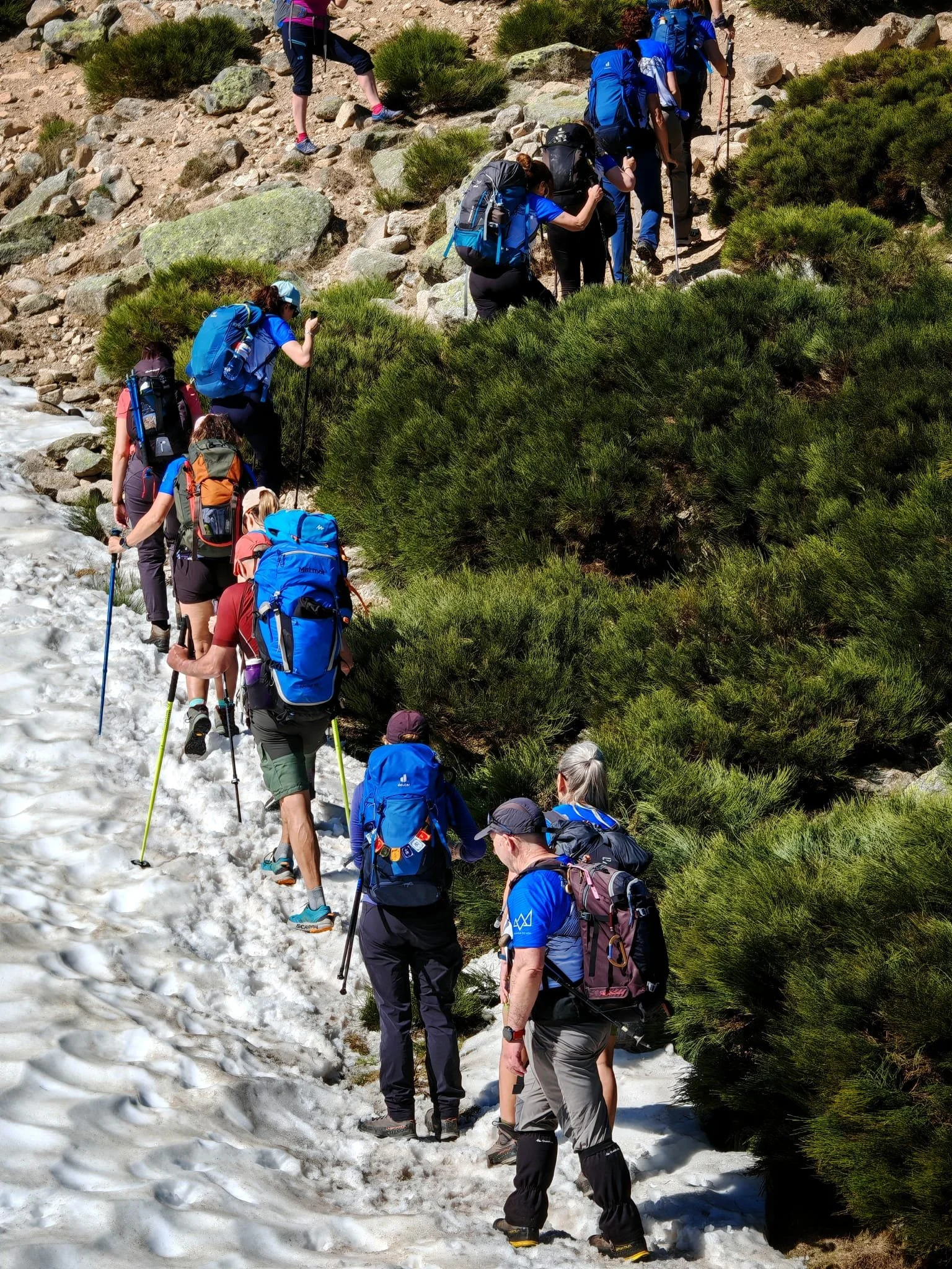 e2912fd3-d182-49a1-abdd-3b864c10493b (1).JPEG