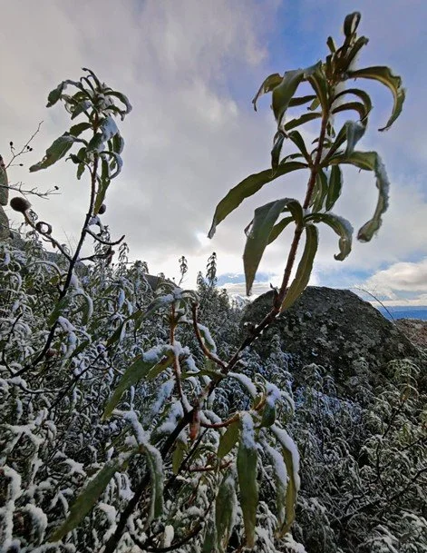 paisaje con nieve.jpg