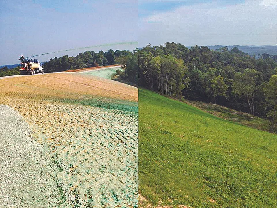 Hydroseeding comparison showing before and after results; left side depicts bare, newly seeded soil with a hydroseeder truck, right side shows lush green grass growth.