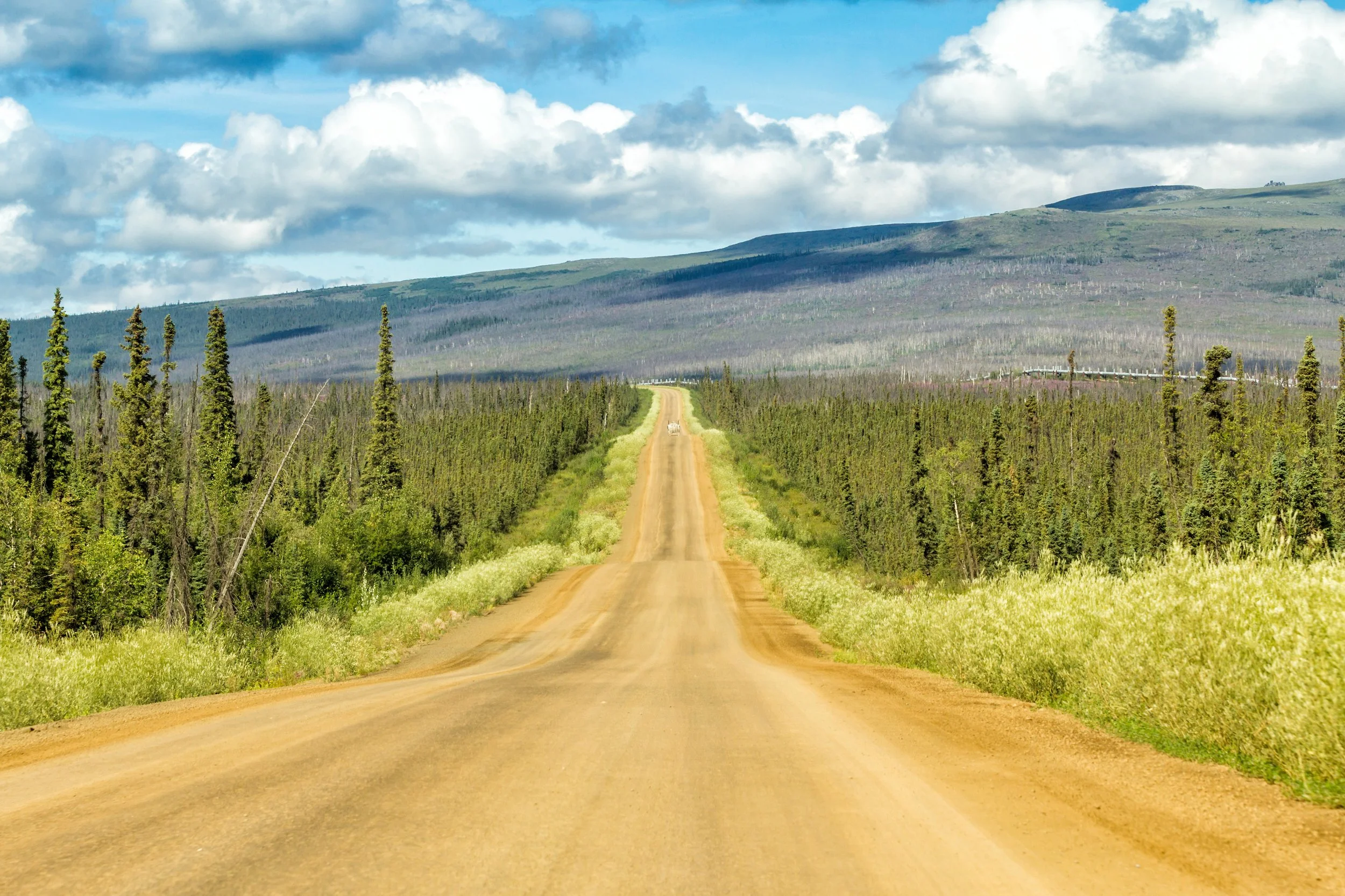 Long gravel road through forested landscape with mountains in the distance, under a partly cloudy blue sky.