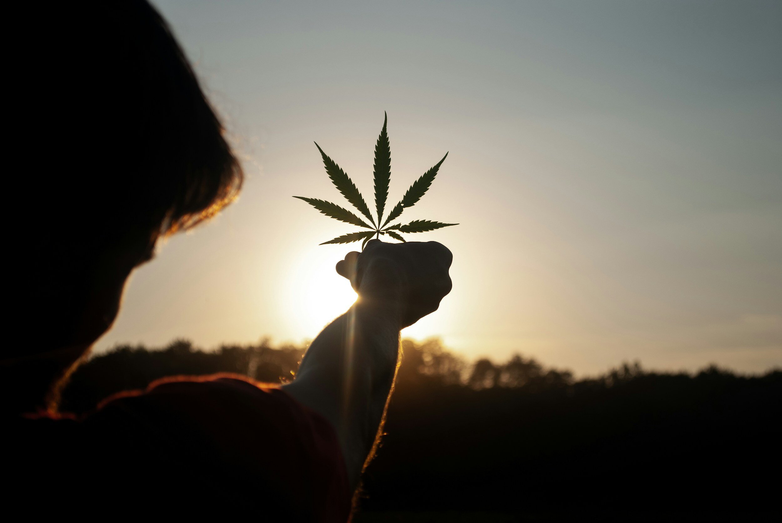 Blog Post 68: Sleep and Cannabis