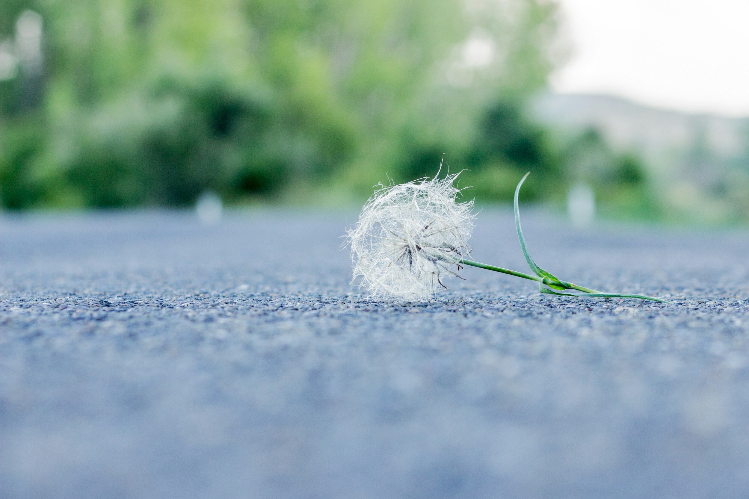 Blog Post 65: Overcoming the Legacy of Troubled Parents