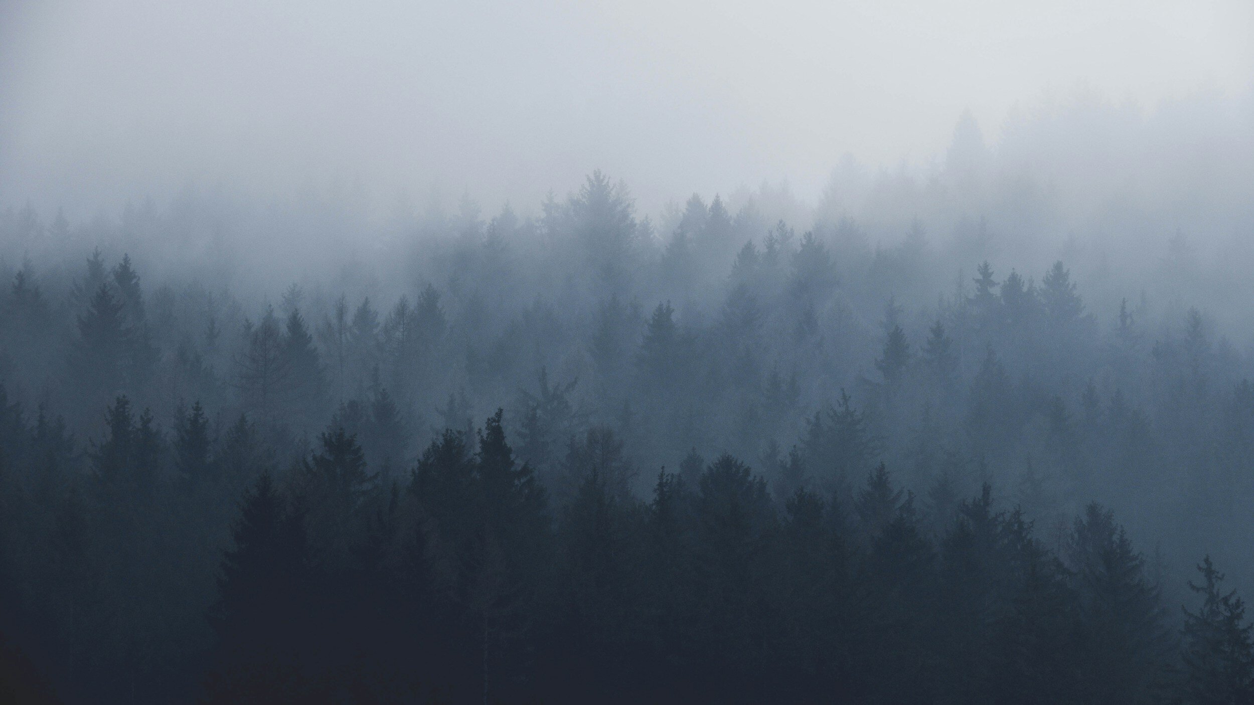 Blog Post 44: Brain Fog