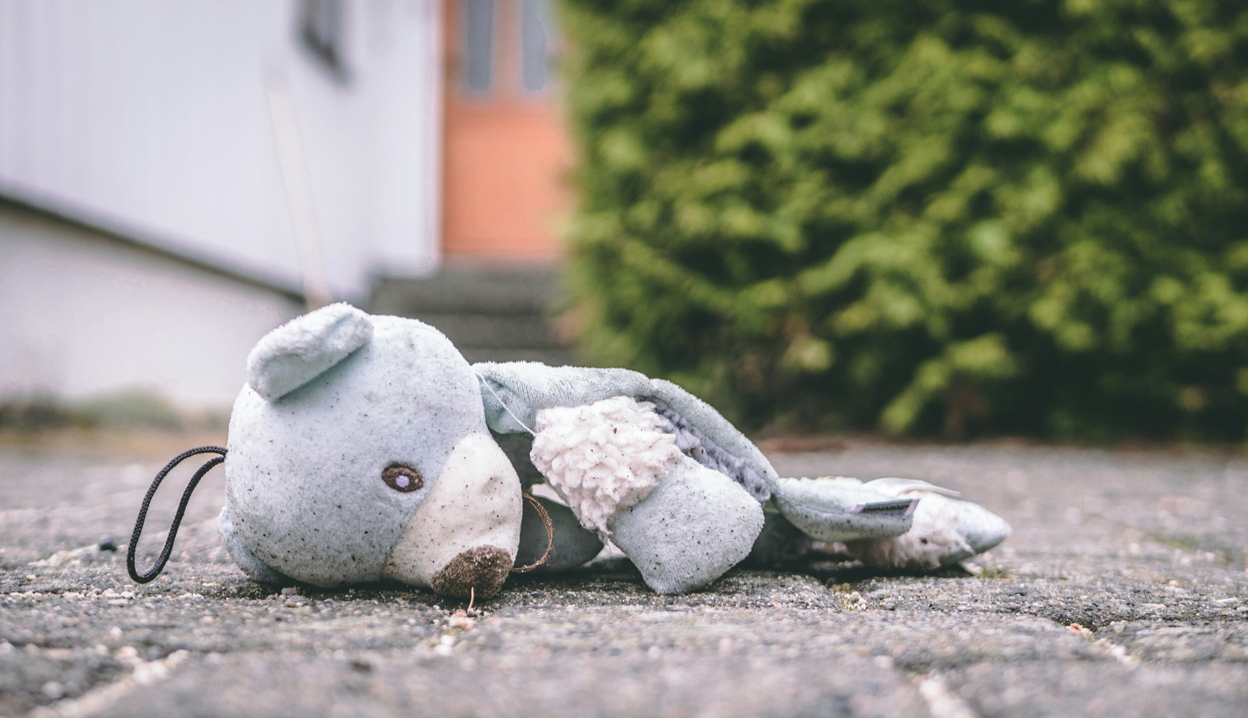 Blog Post 40: Is Trauma at the Root of Type C?