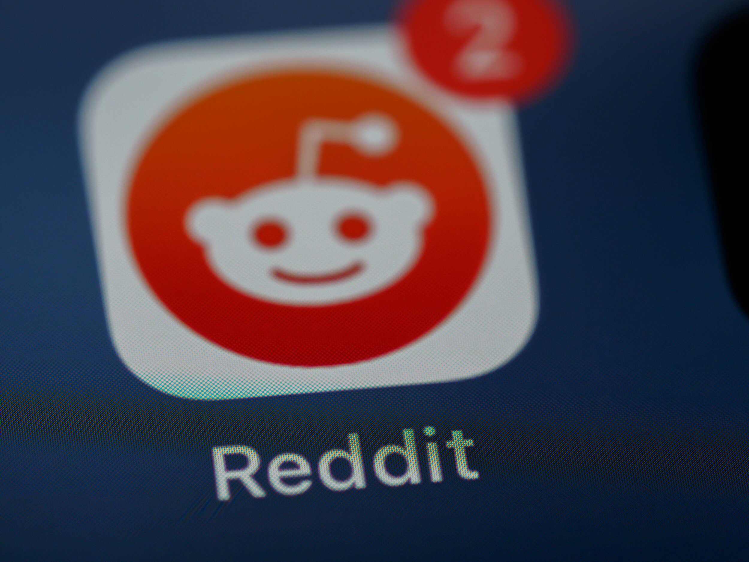 Blog Post 23: We Asked Reddit!