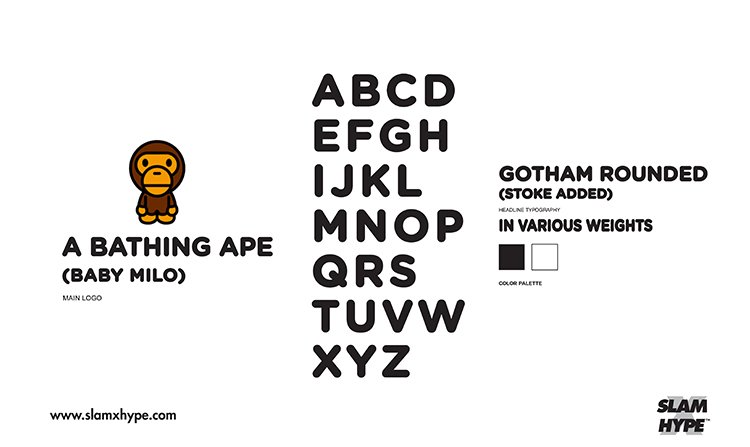 BAPE_750_o.jpg