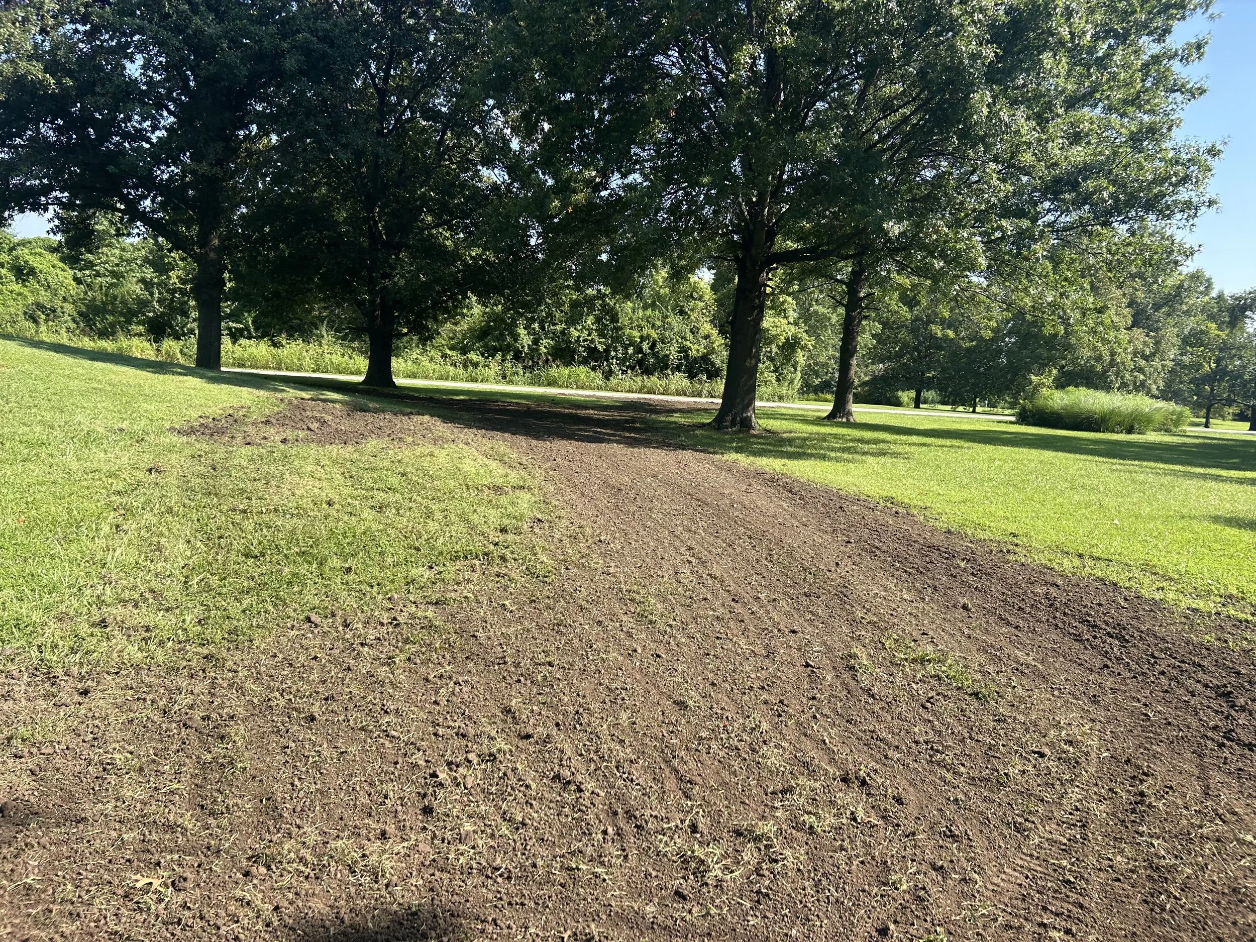 Soil grading to level yard and improve drainage