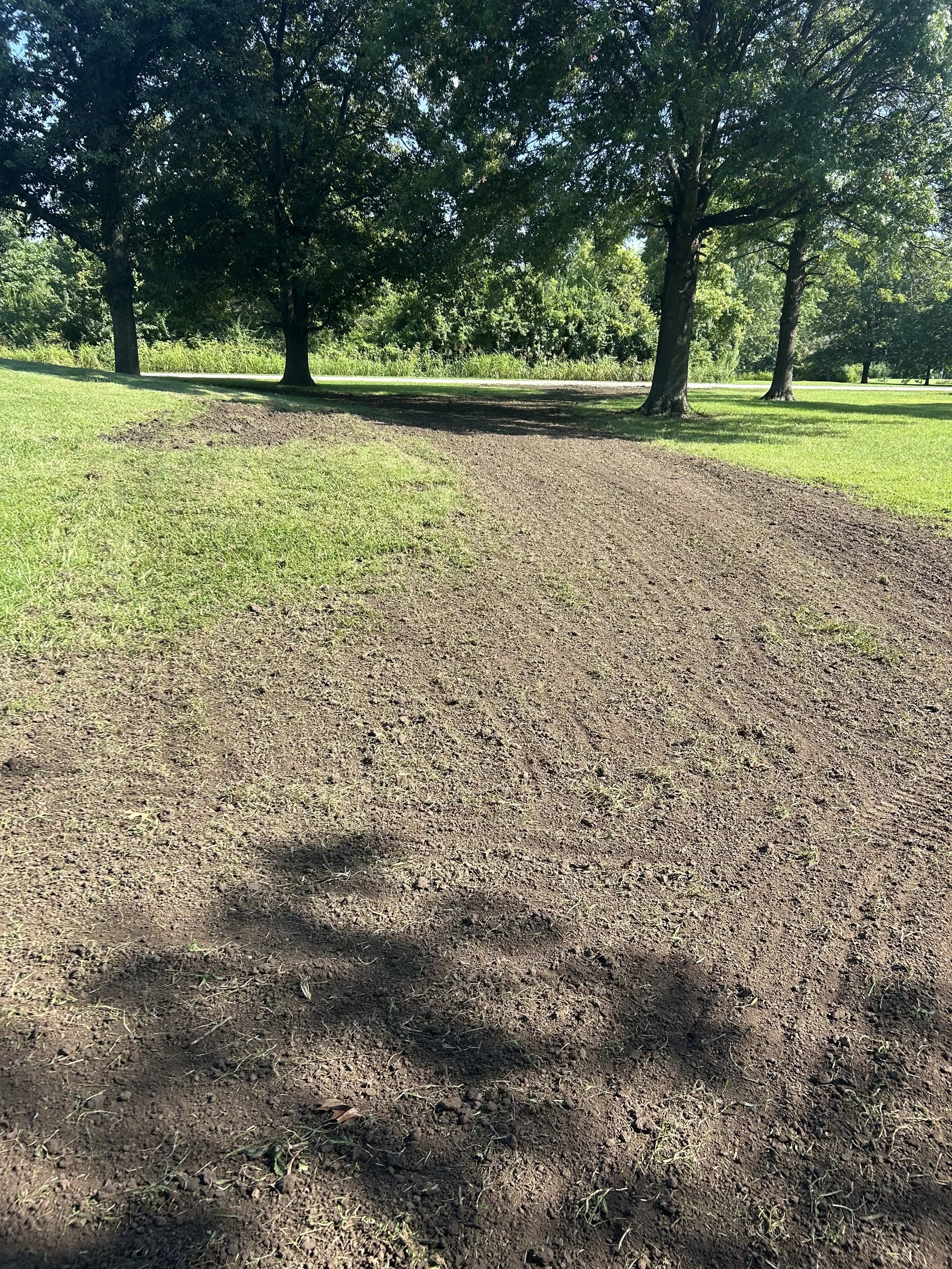 Soil grading to level yard and improve drainage