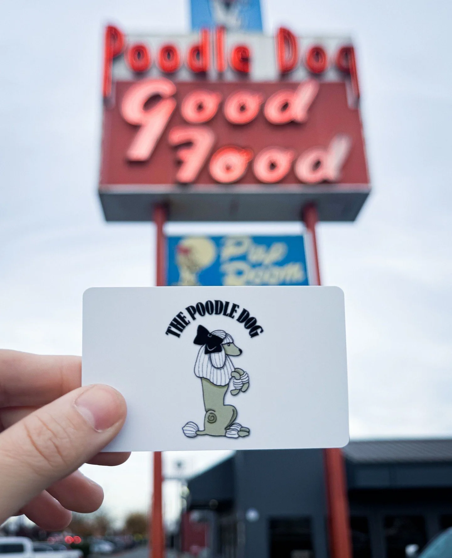 Who's ready to kick off the holiday season with us!?⁠
⁠
Grab a $50 gift card in person between November 1 and December 31 and get a $10 coupon to use January 1 through March 1.⁠
⁠
A little something for everyone on your list...or just for you 😉🎁🐩