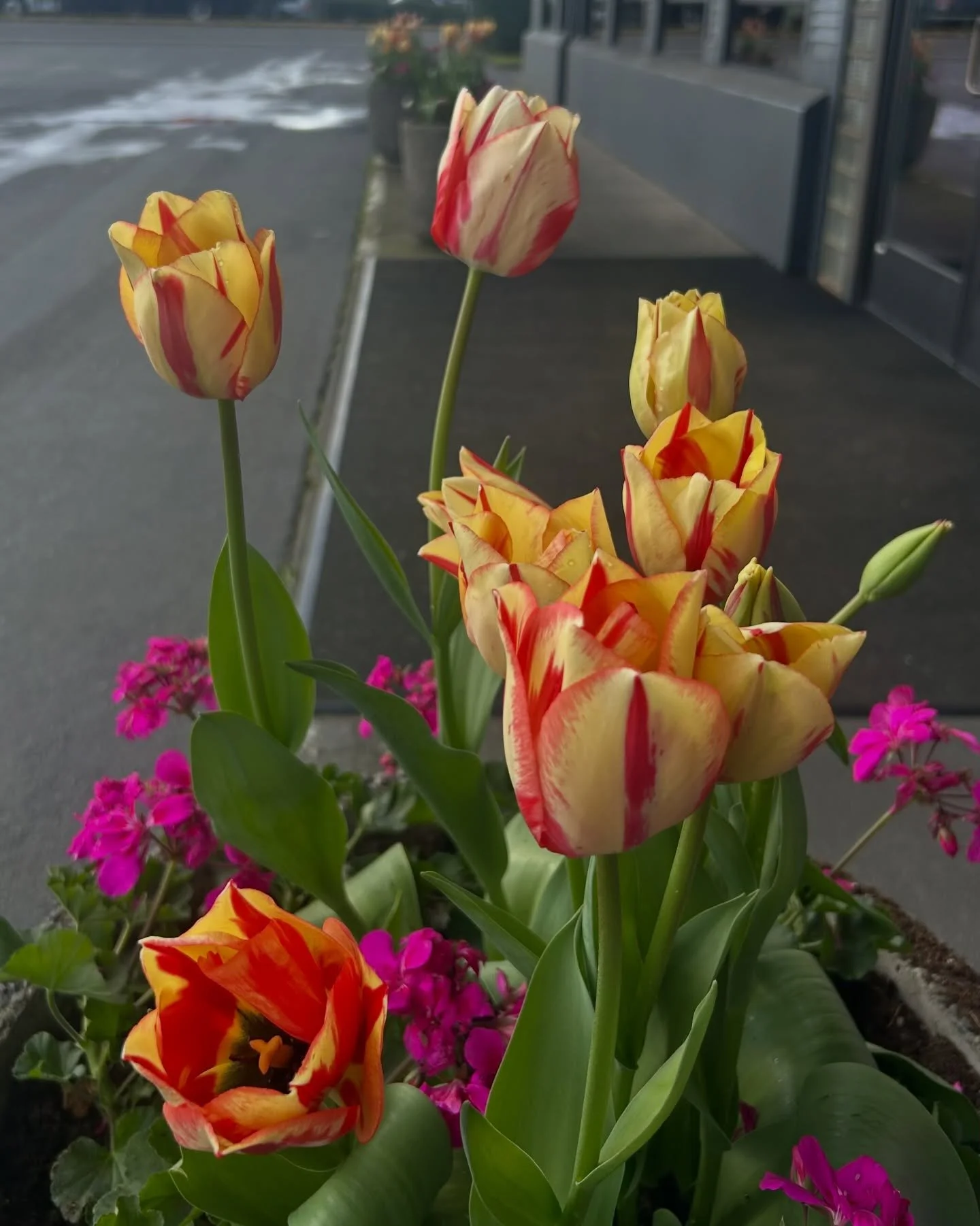 We&rsquo;re ready for spring and more sunny days to come! 🌞🌷