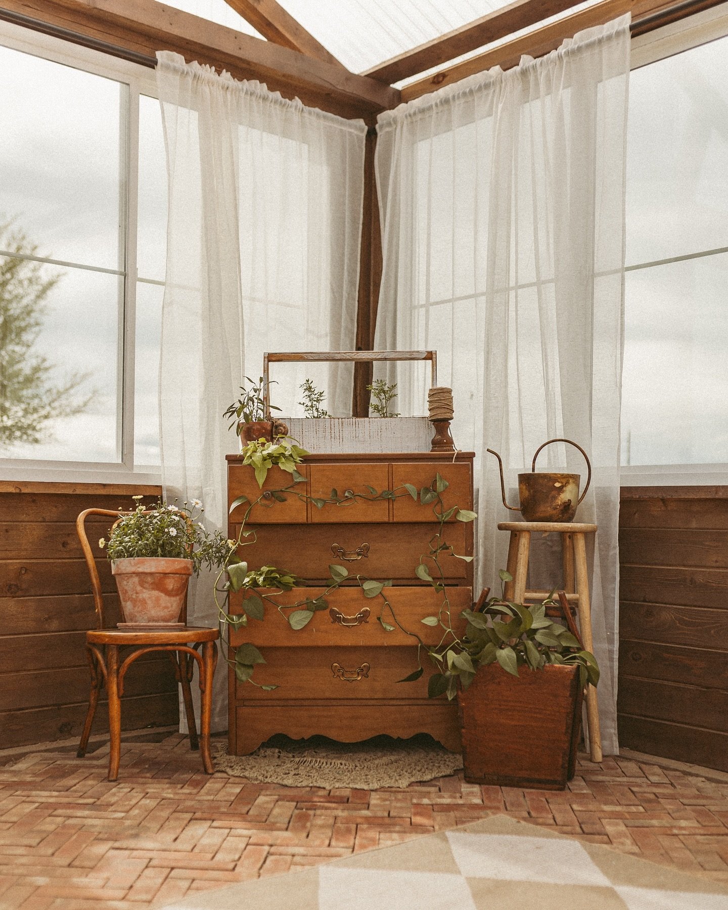 Summer greenhouse details 🪴