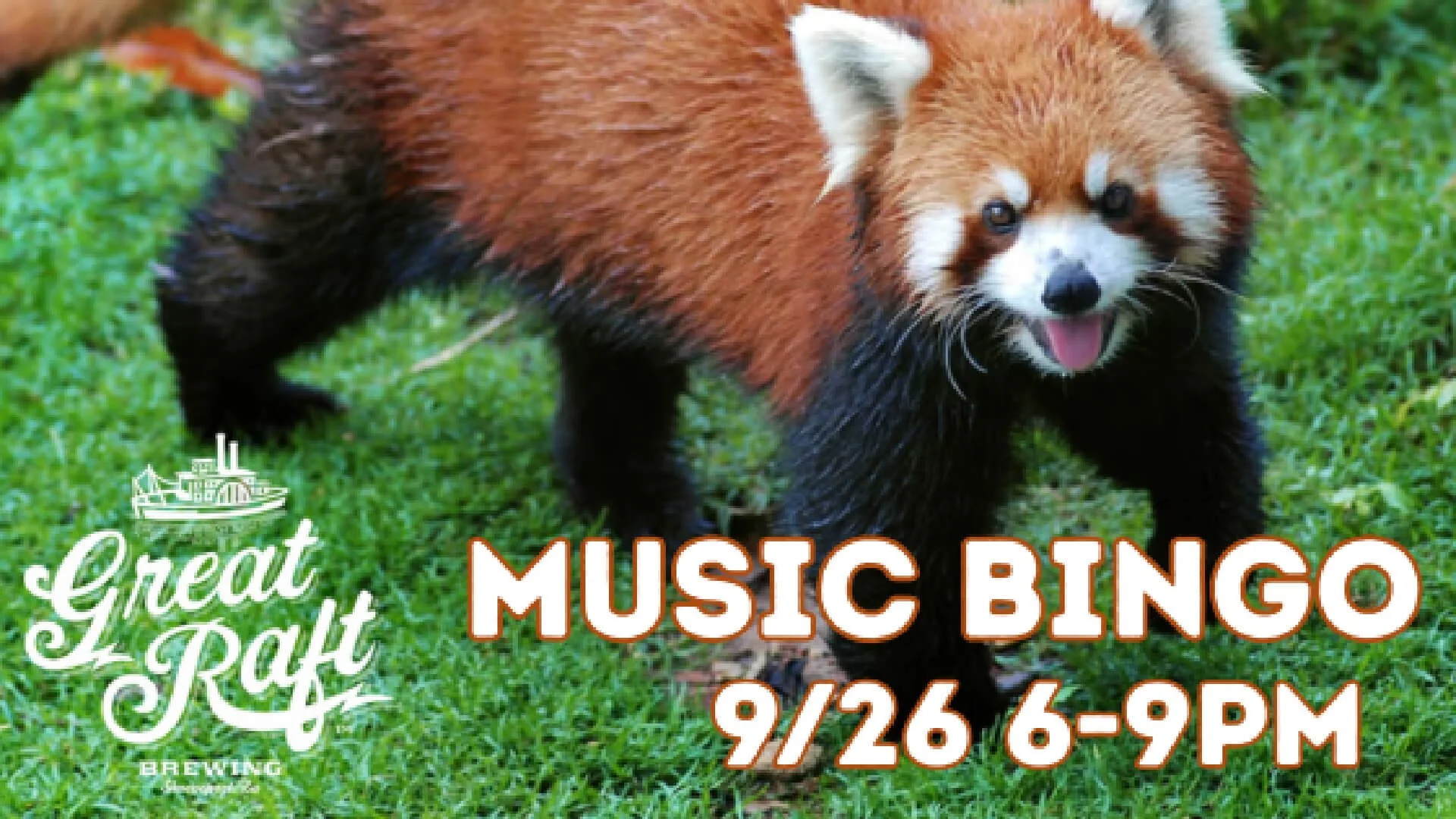 Pints for Pandas Music Bingo
