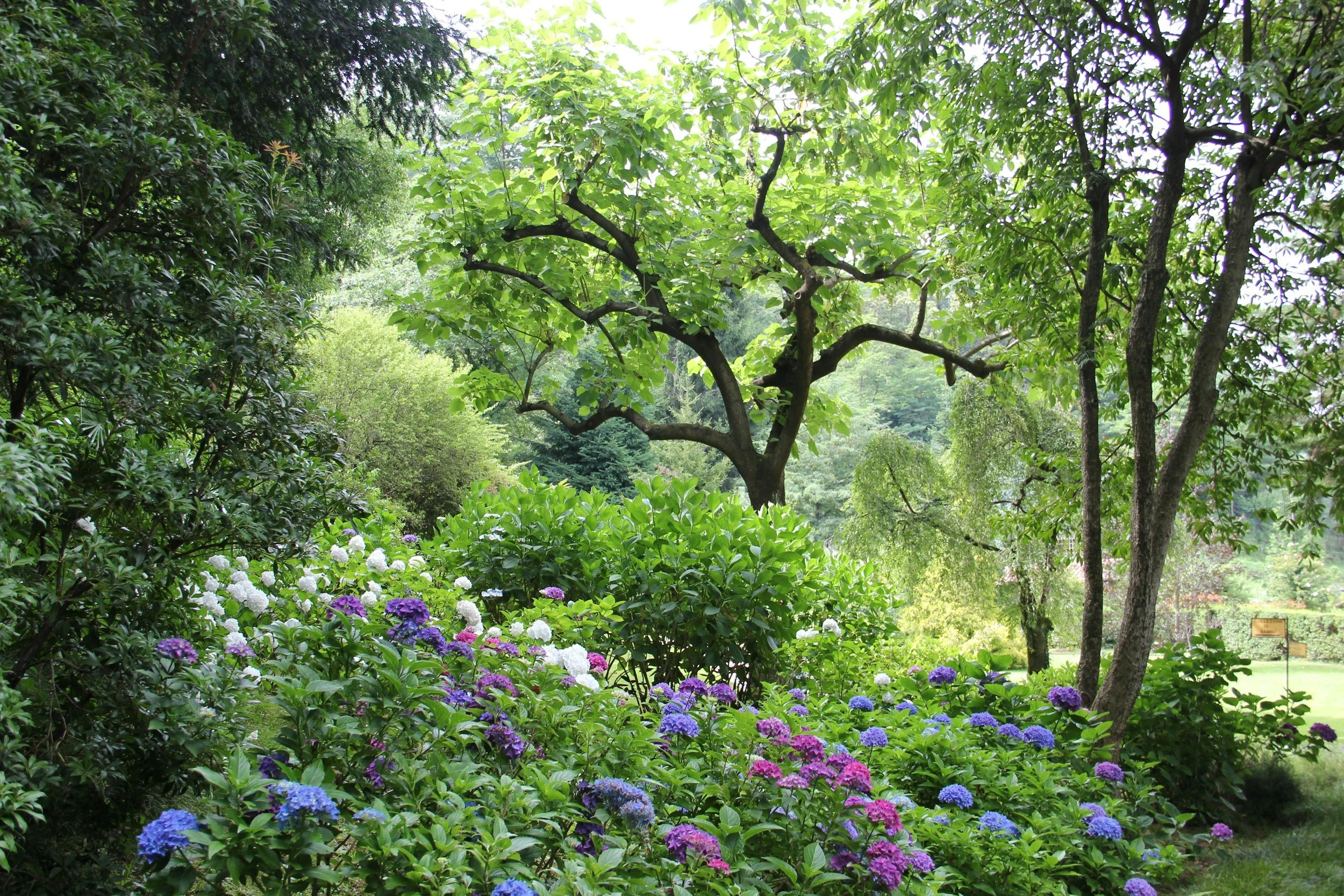 El Jardin Recovery Center