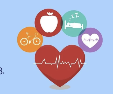 Health Insurance 101