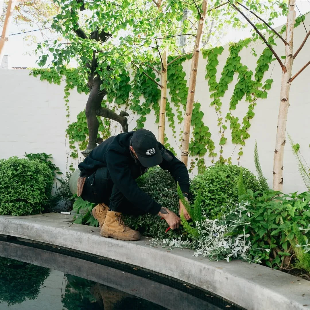 Person gardening near a small pond, surrounded by various green plants and trees, with a decorative sculpture of a child climbing a tree in the background.