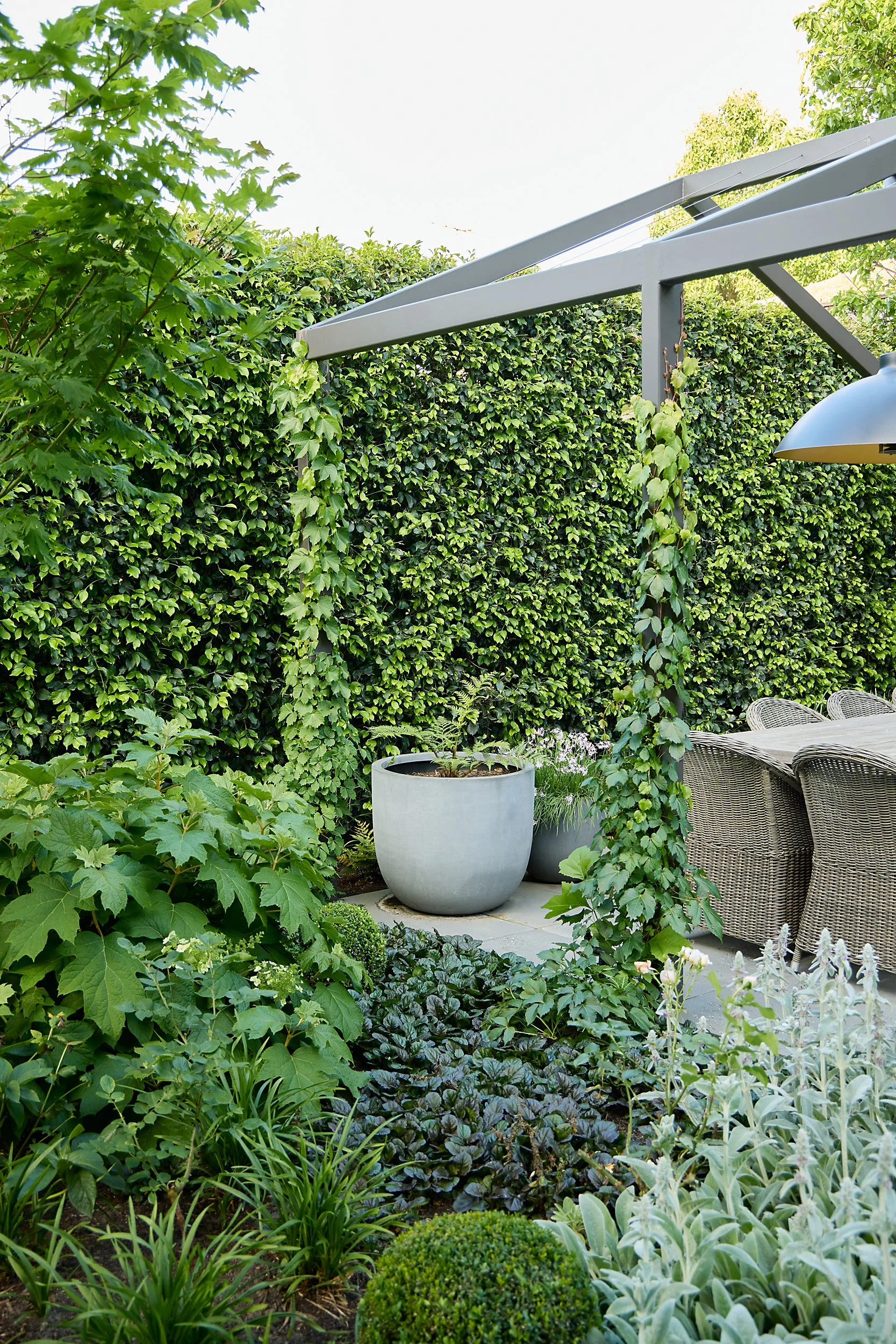 A lush backyard garden with a variety of green plants, bushes, and trees. There is outdoor furniture including a round table and wicker chairs, along with large planters and a trellis structure covered in climbing plants, set against a backdrop of a tall hedge.