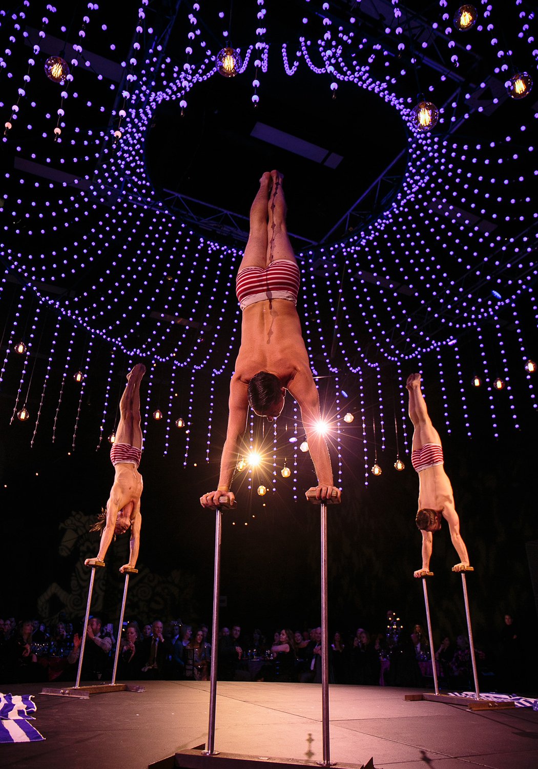 circus-bizircus-4