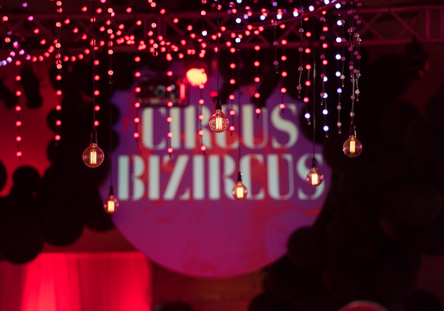 circus-bizircus-5