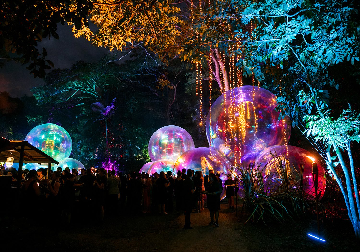 light-play-the-night-away-1