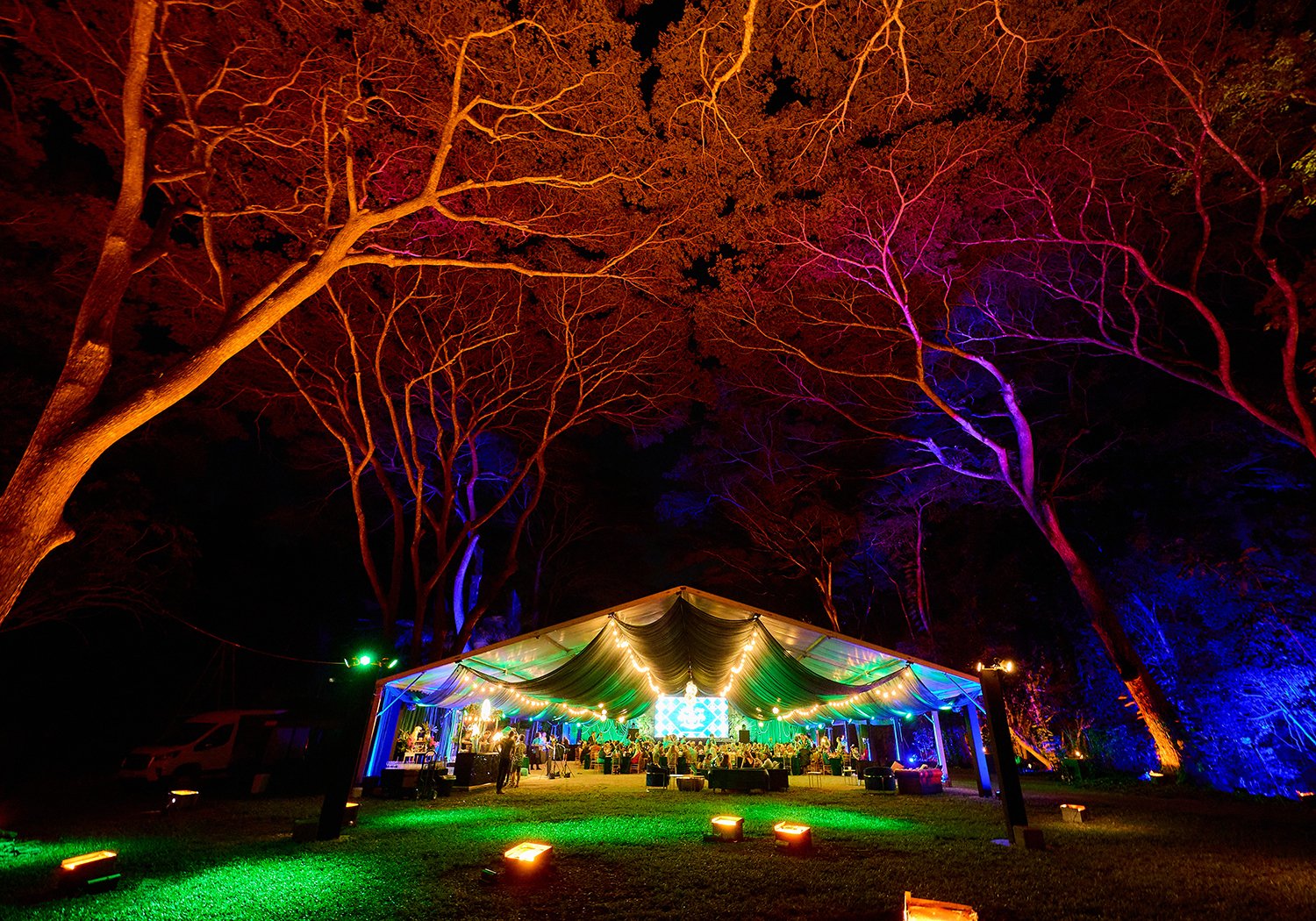 daintree-dreaming-4