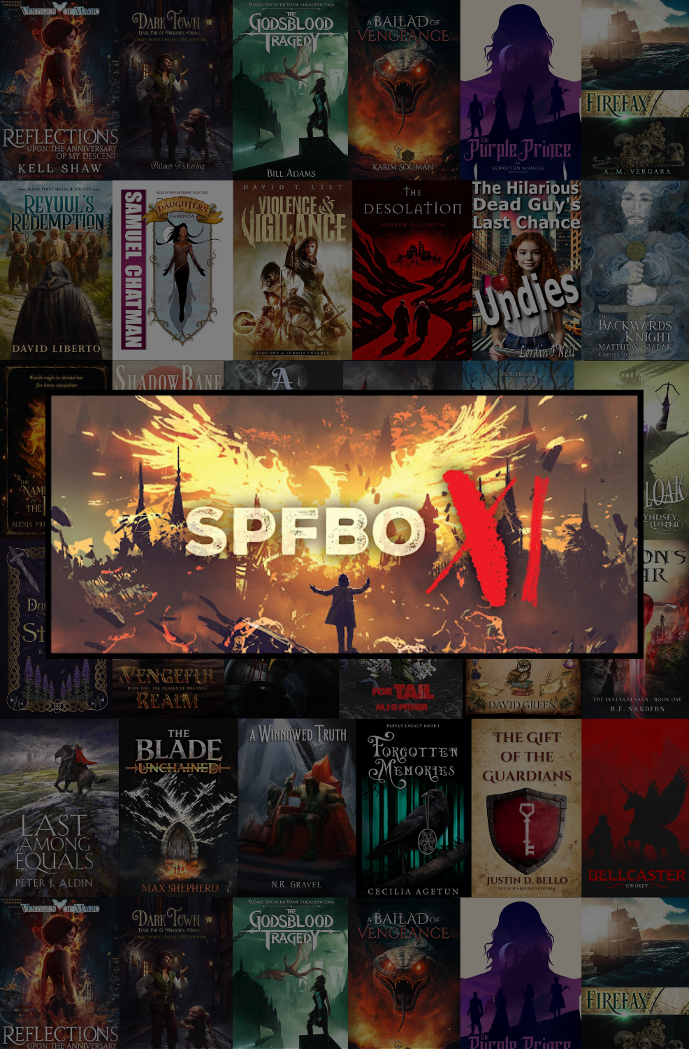 Introducing the SFF Insiders SPFBO XI Team