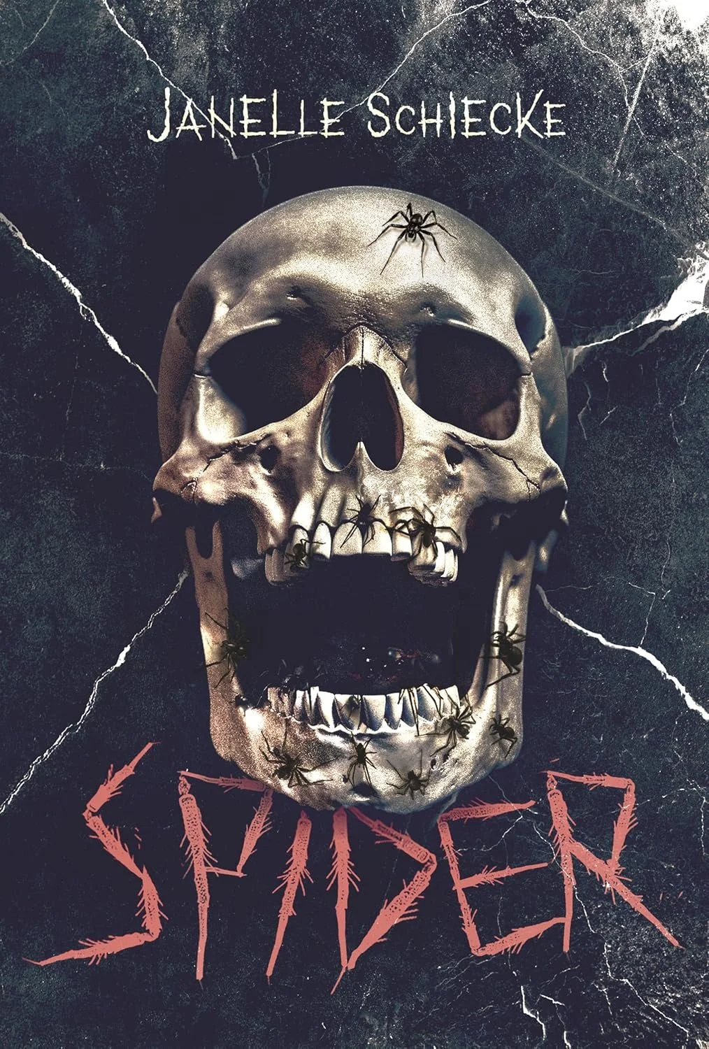 Spider By Janelle Schiecke