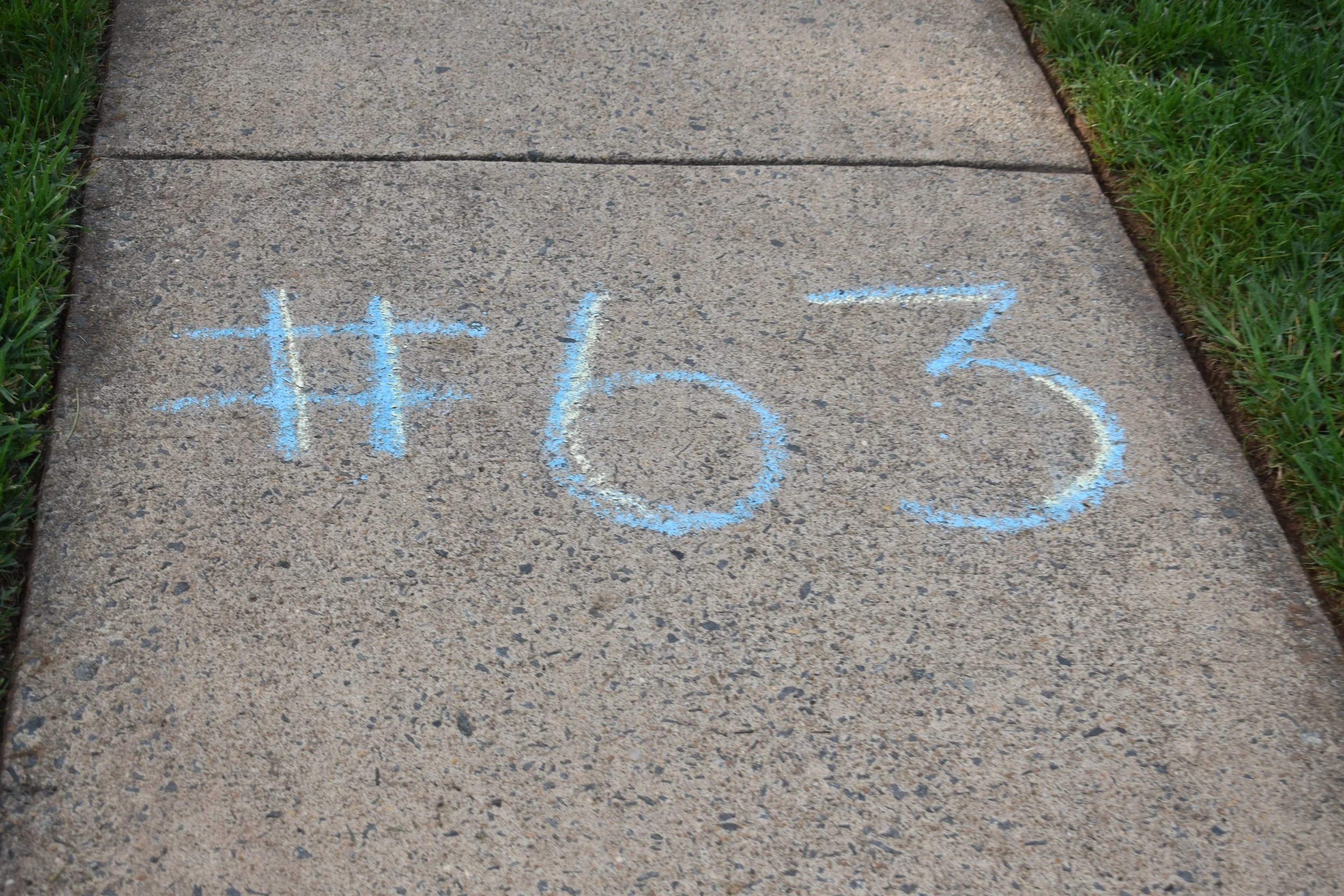 DSC_0160.JPG