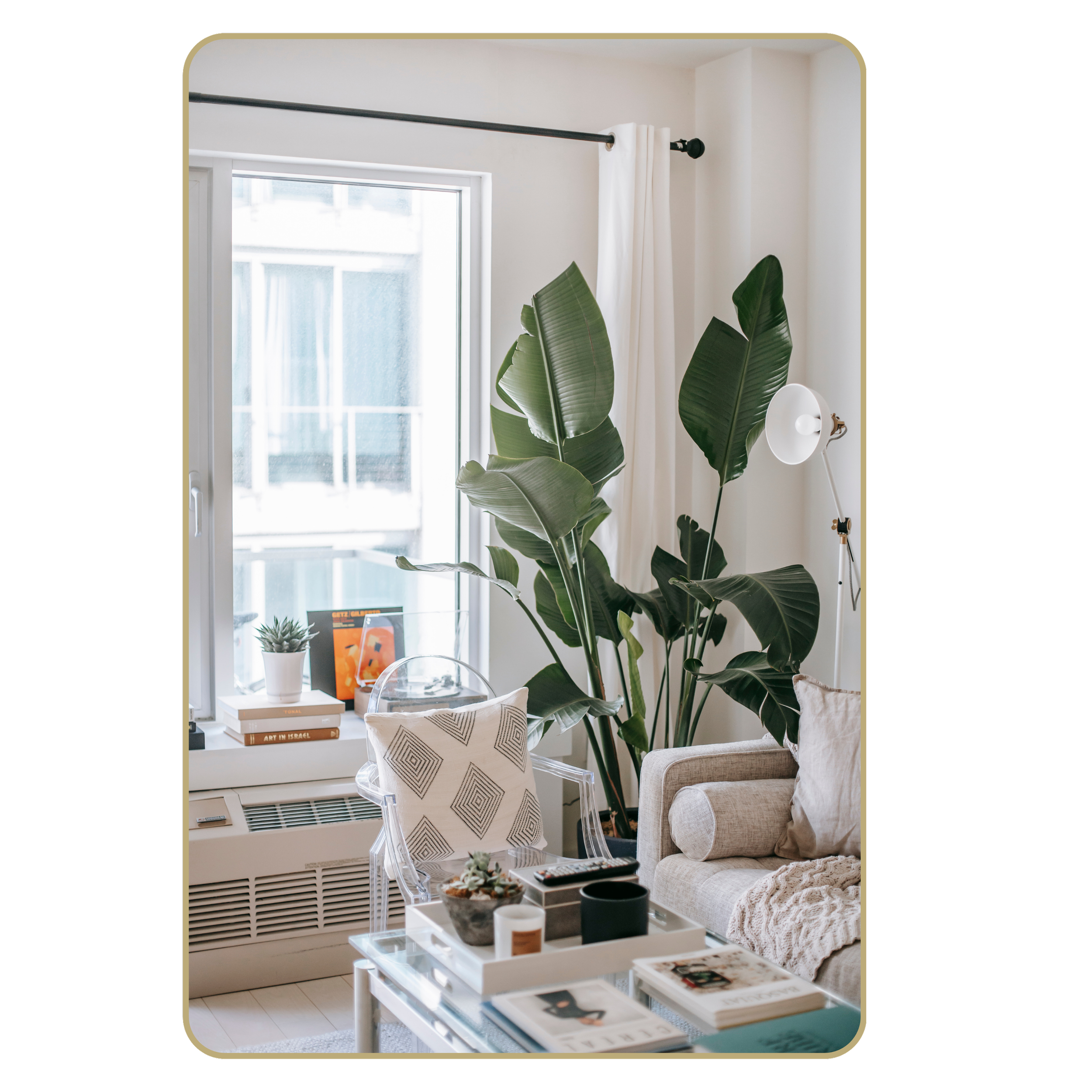 Image of a cosy living space with a large plant, coffee table filled with books and candles and the edge of a sofa with cushions and blankets