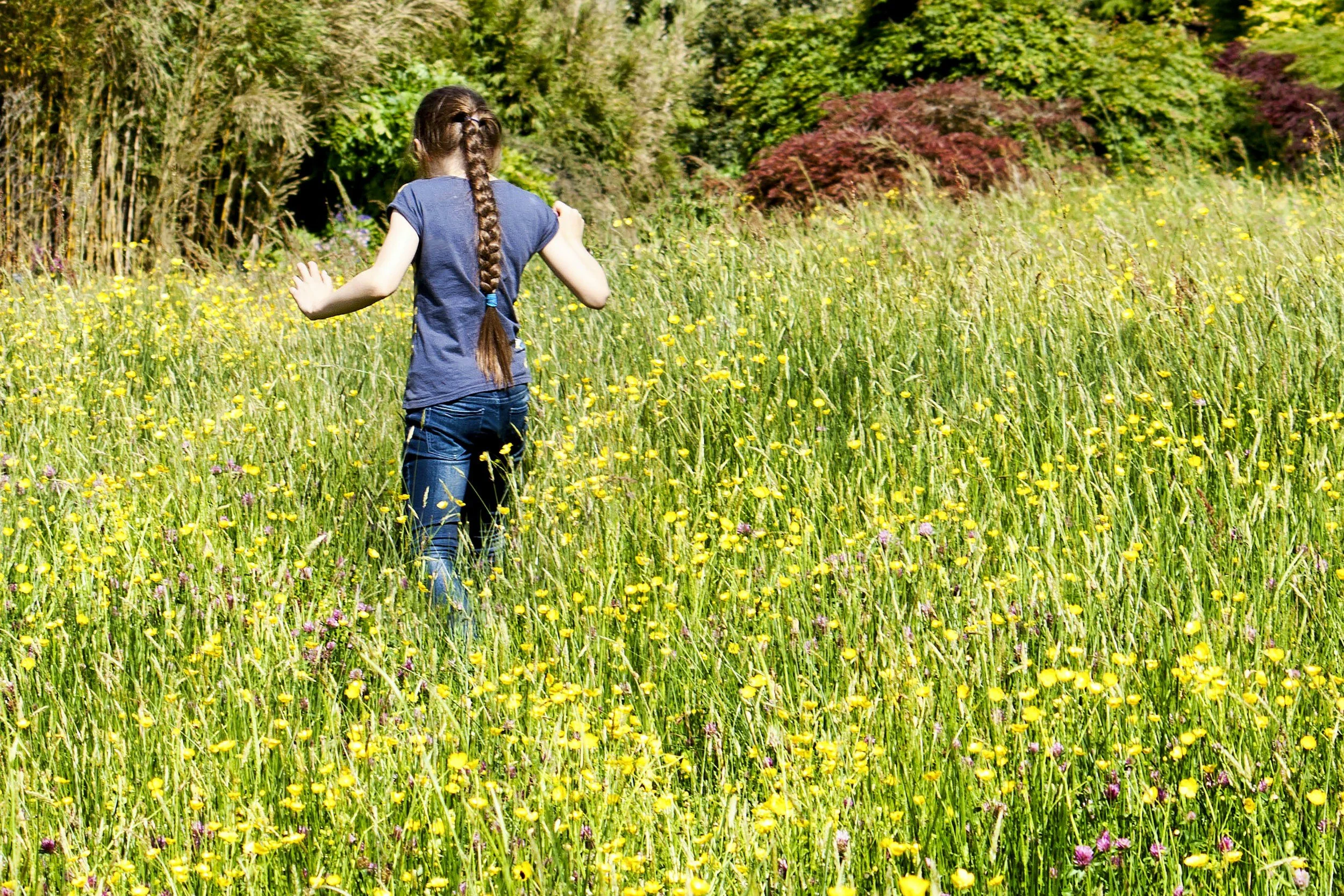 a child walks through a spring meadow