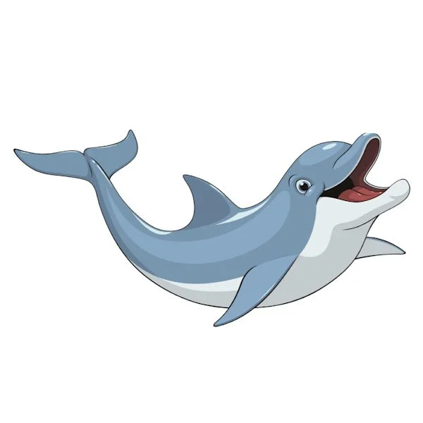 Dolphins at Play: Album Release Concert