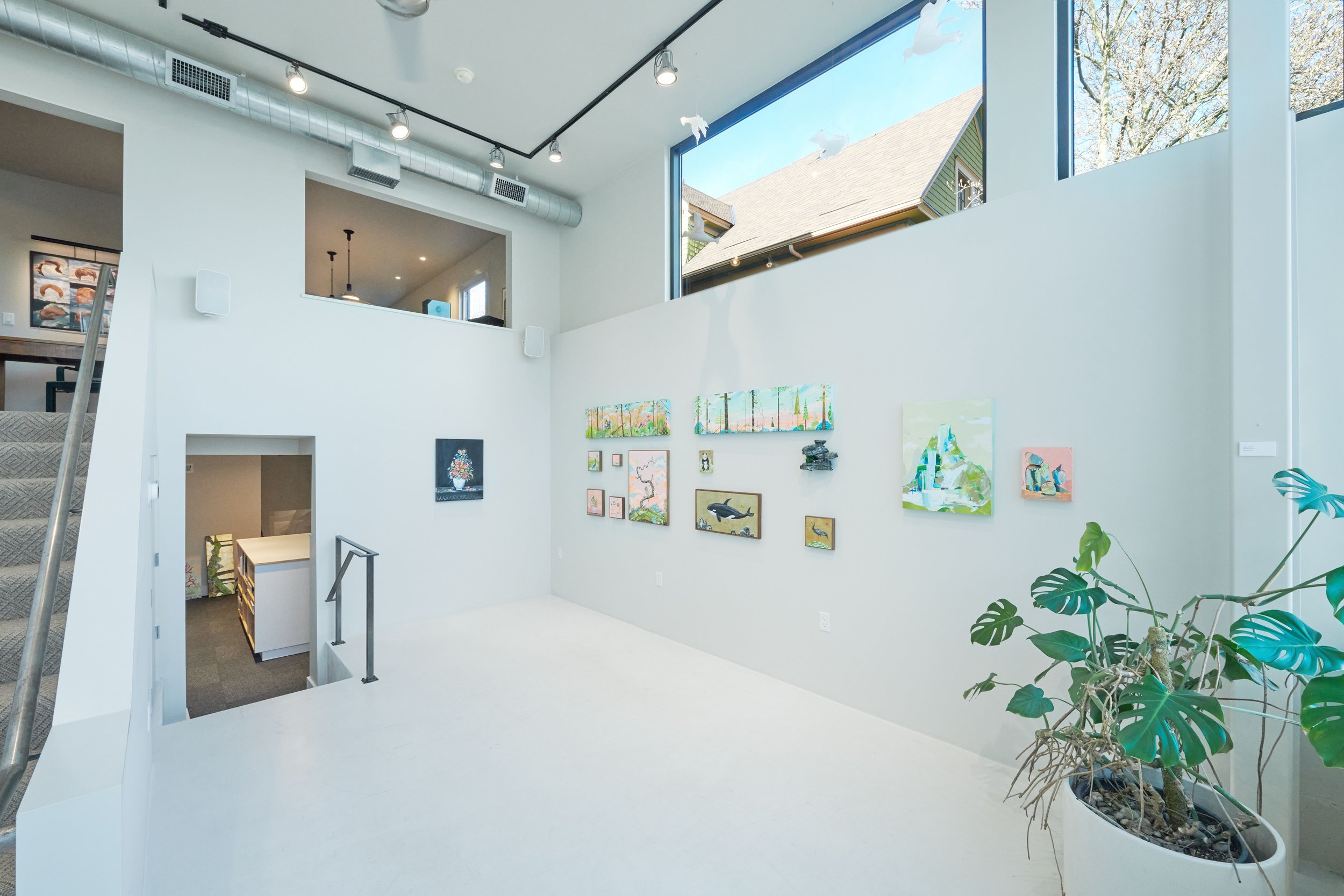 Modern art gallery with white walls displaying colorful paintings, large windows letting in natural light, and a potted plant in the corner.