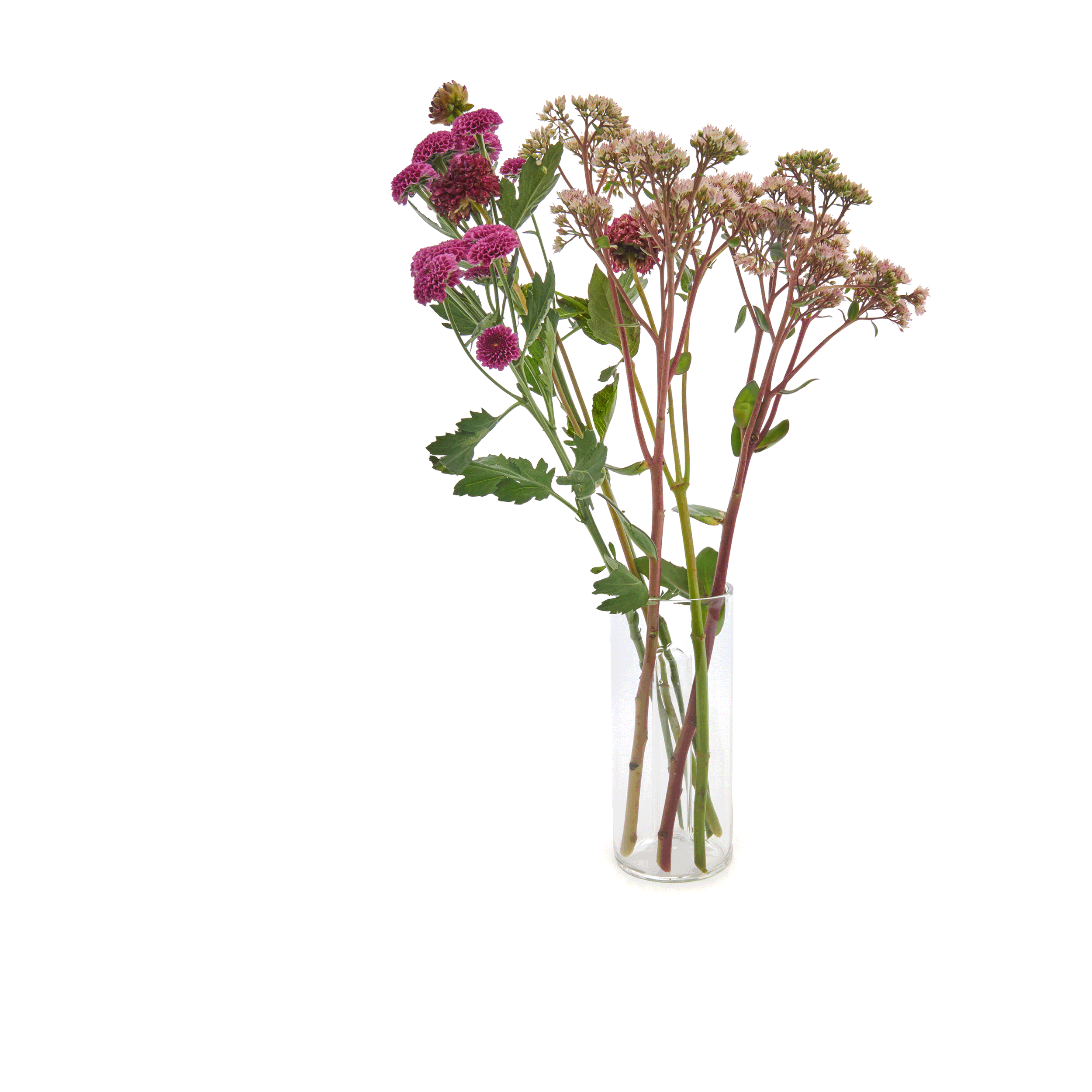 A clear glass vase holding a bouquet of pink and purple flowers with green leaves on a white background.