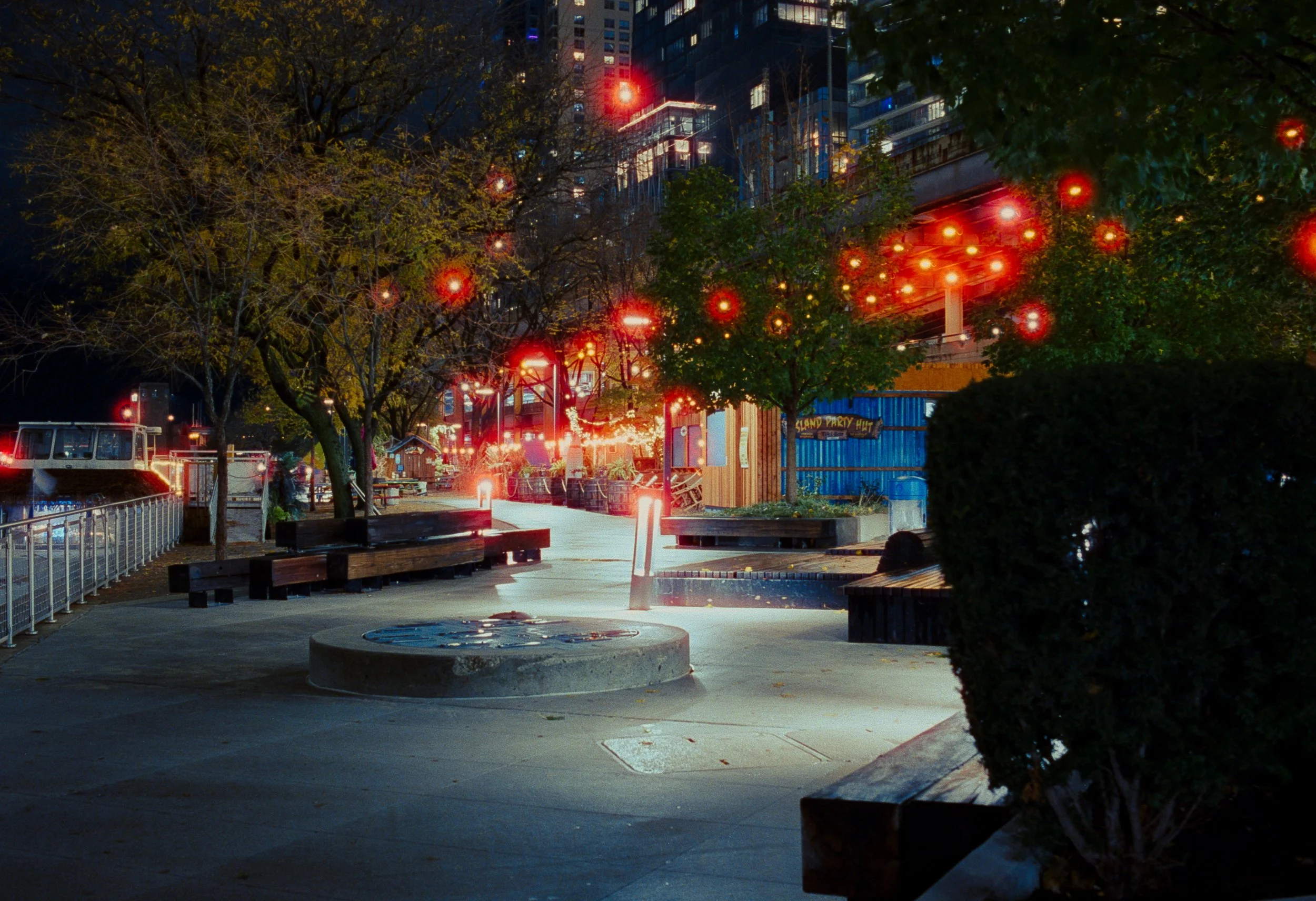 Cinestill800T_3600-2.jpg