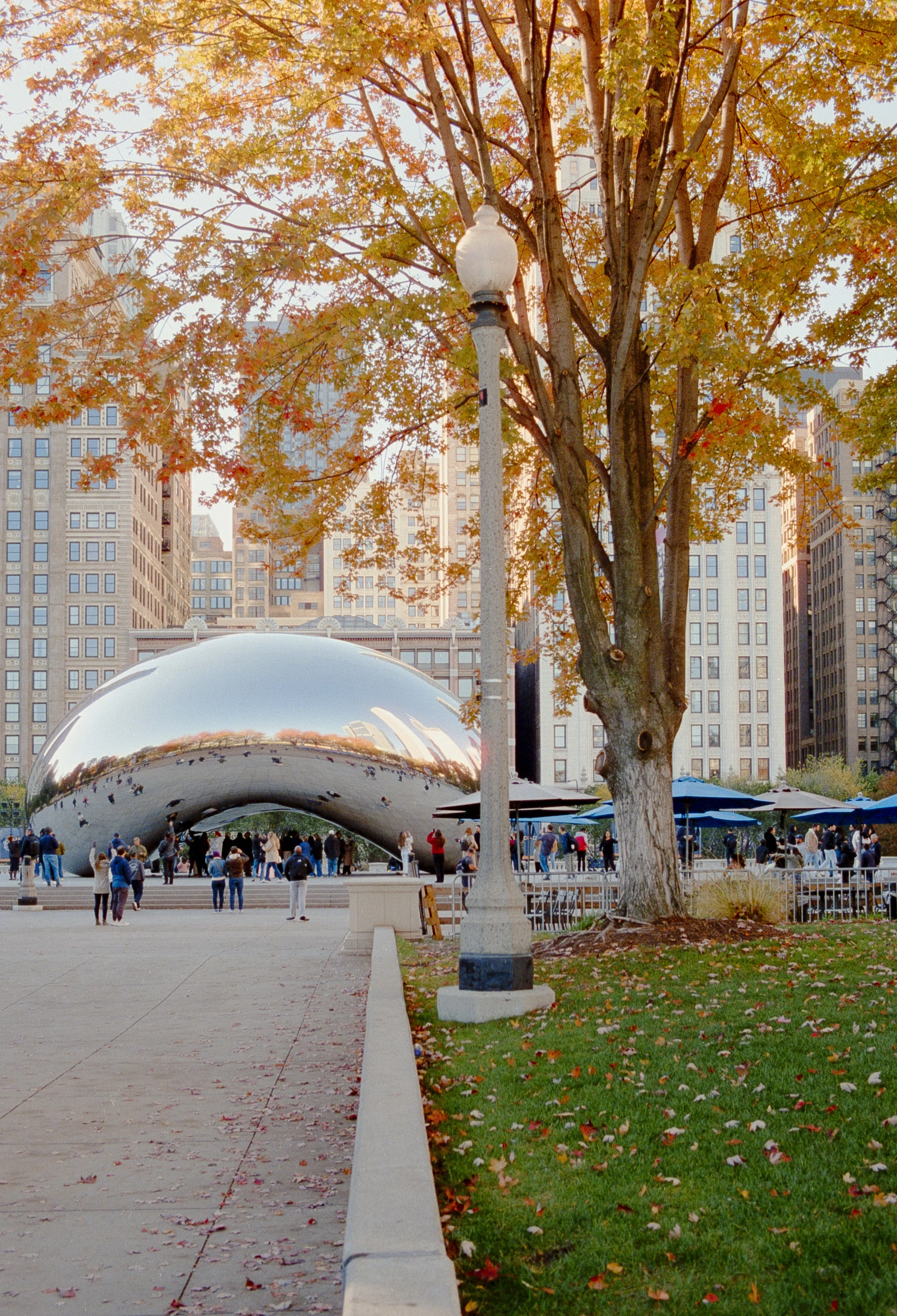 Cinestill 400_ (6).jpg