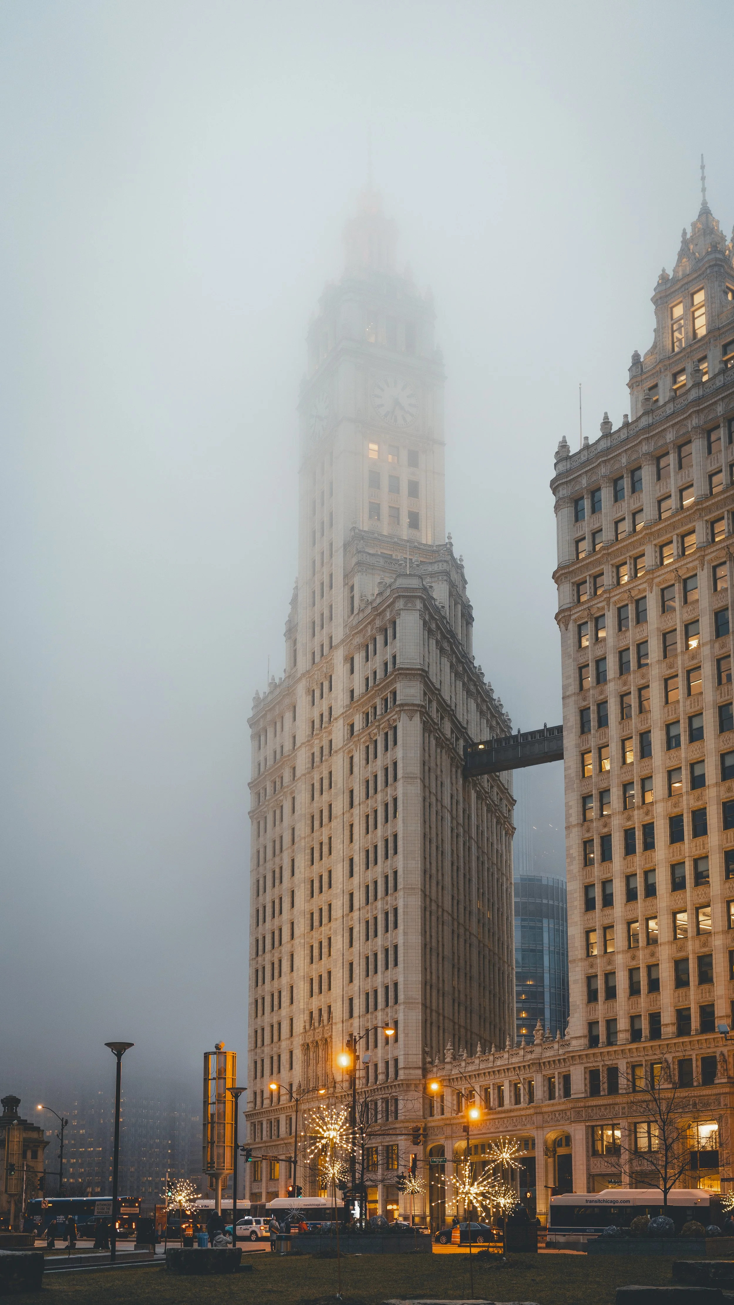 A7C06053-4.jpg