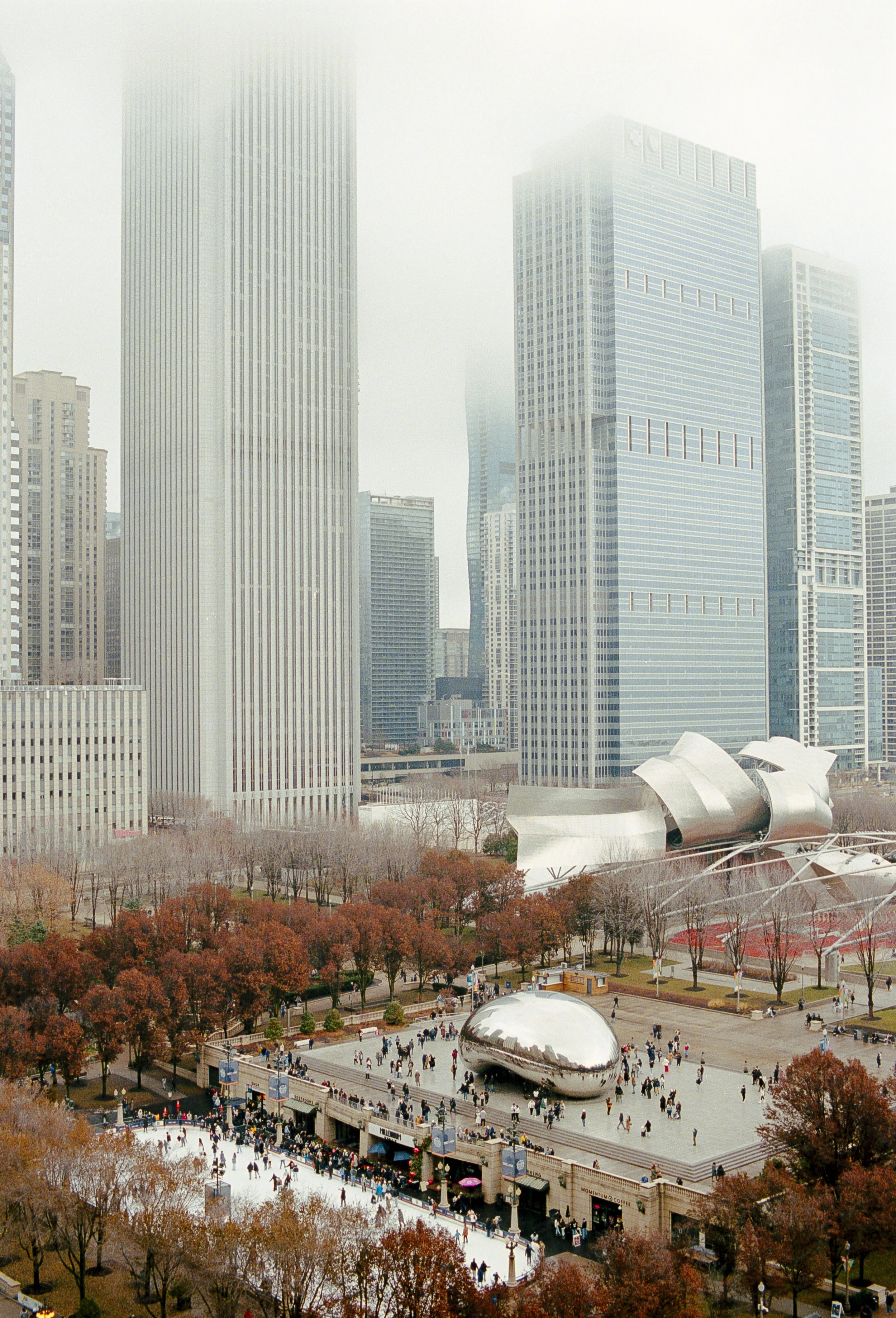 portra400_3012_ (6).jpg