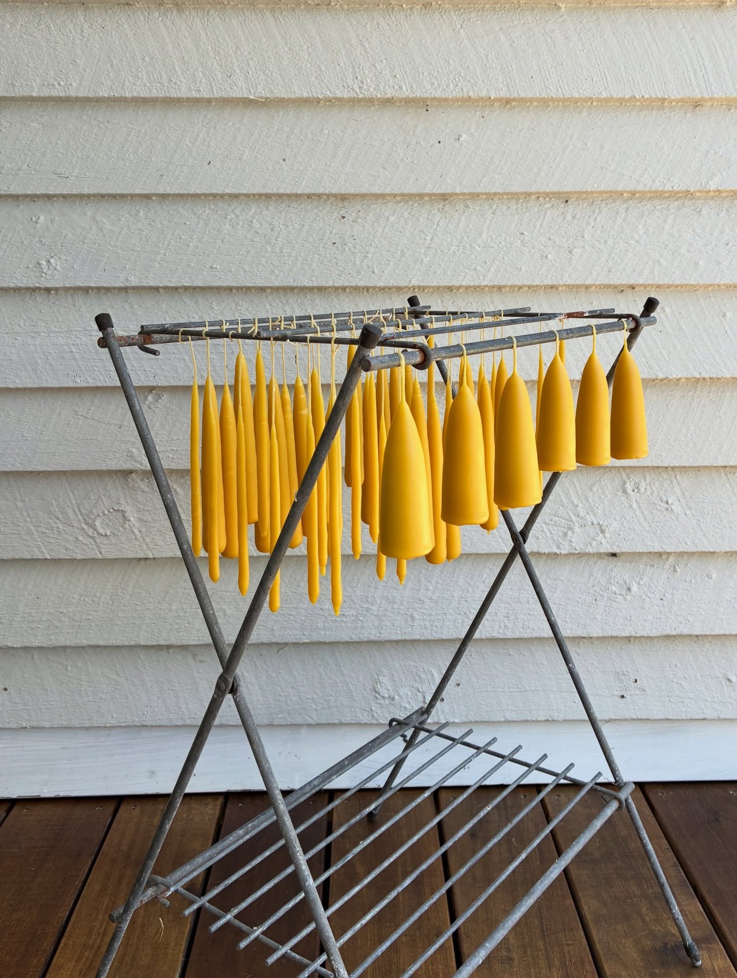 Little bits of life inside and outside of the studio the last few weeks ❤️