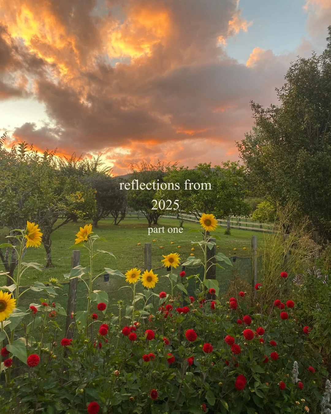 I may be the last person on the internet to share their 2025 reflections, haha.
This is my pace and I&rsquo;m sticking with it 🐌