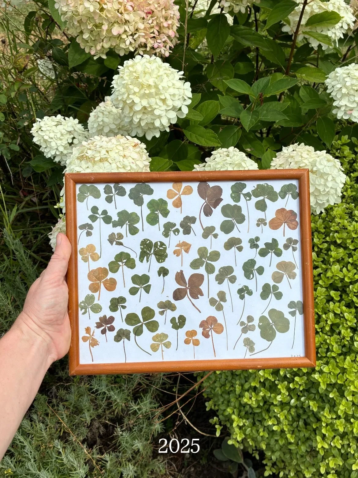 Another year under the belt 🍀