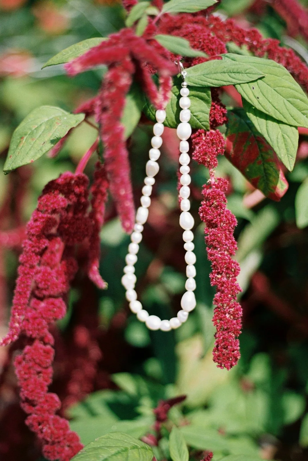 OpheliaJon001895--000008 copy.jpg