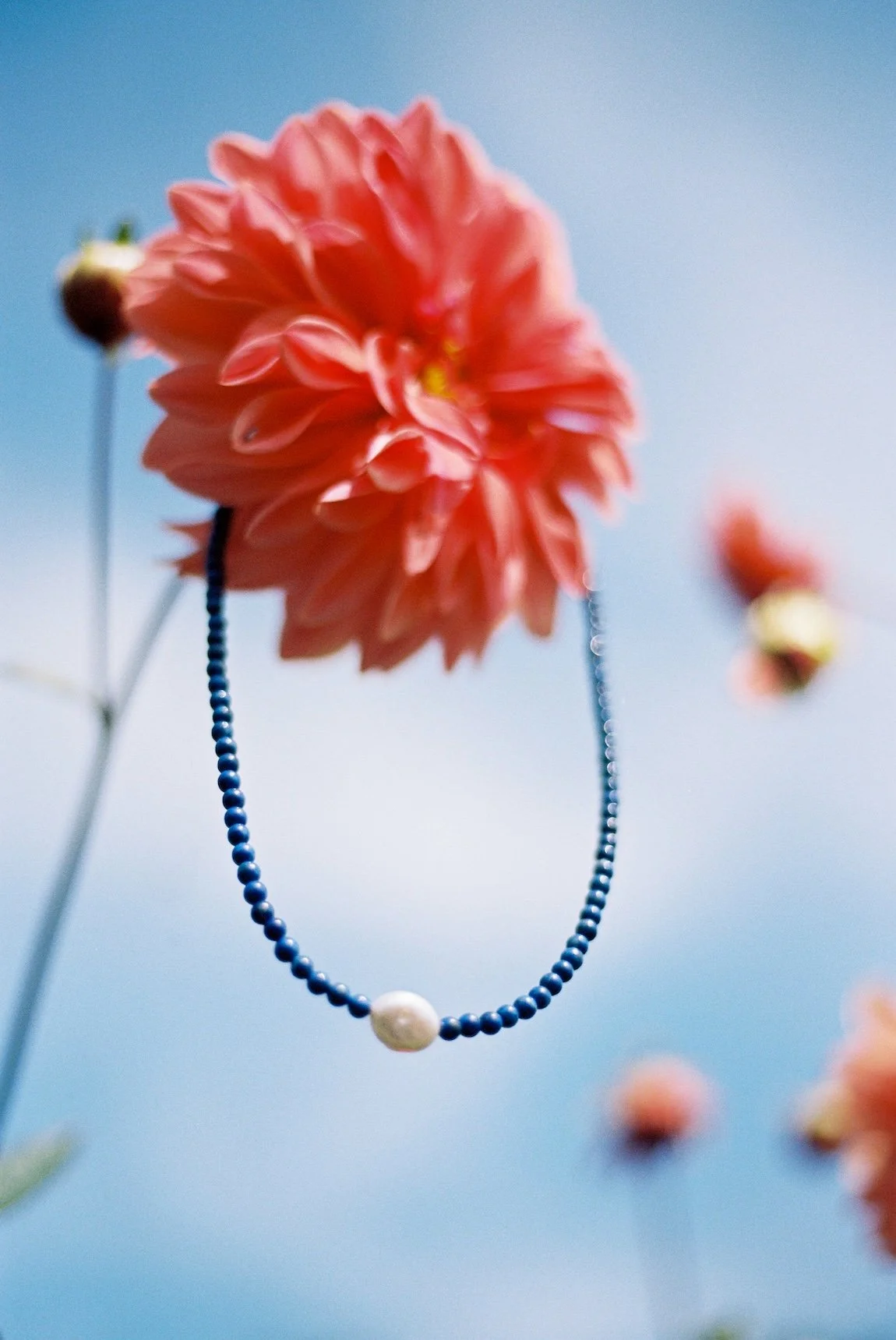 OpheliaJon001895--000022 copy.jpg