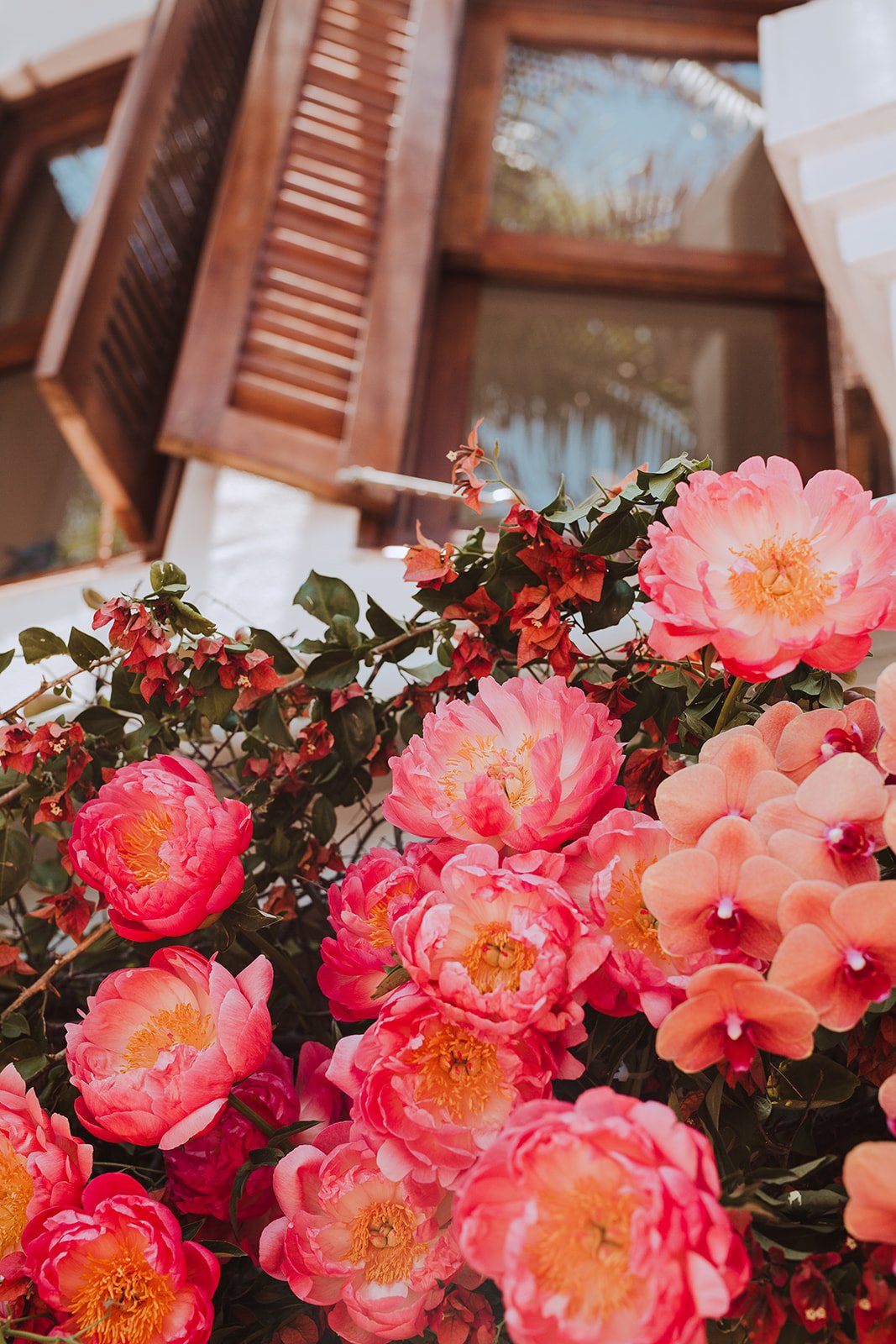 Pink and peach peonies and bougainvillea flowers in front of a wooden window with open shutters.